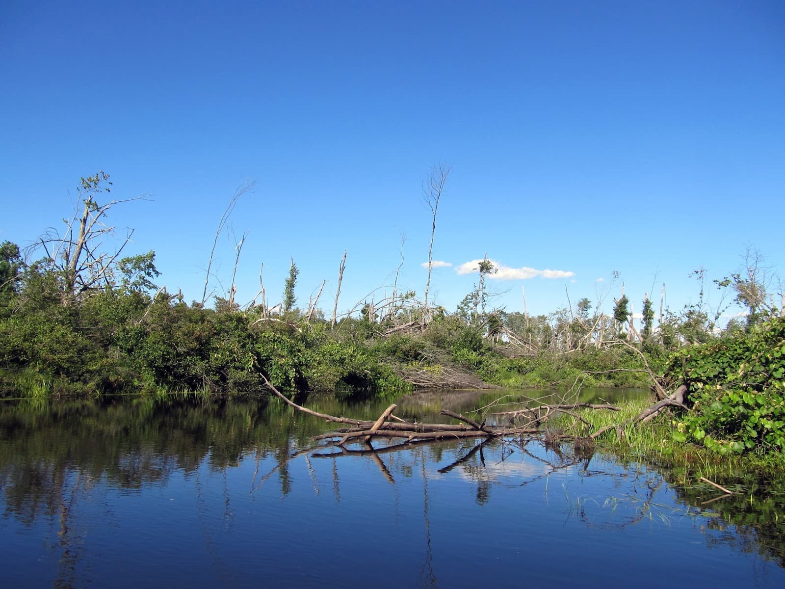 Quinebaug River Water Trail (Sturbridge) - Image 1
