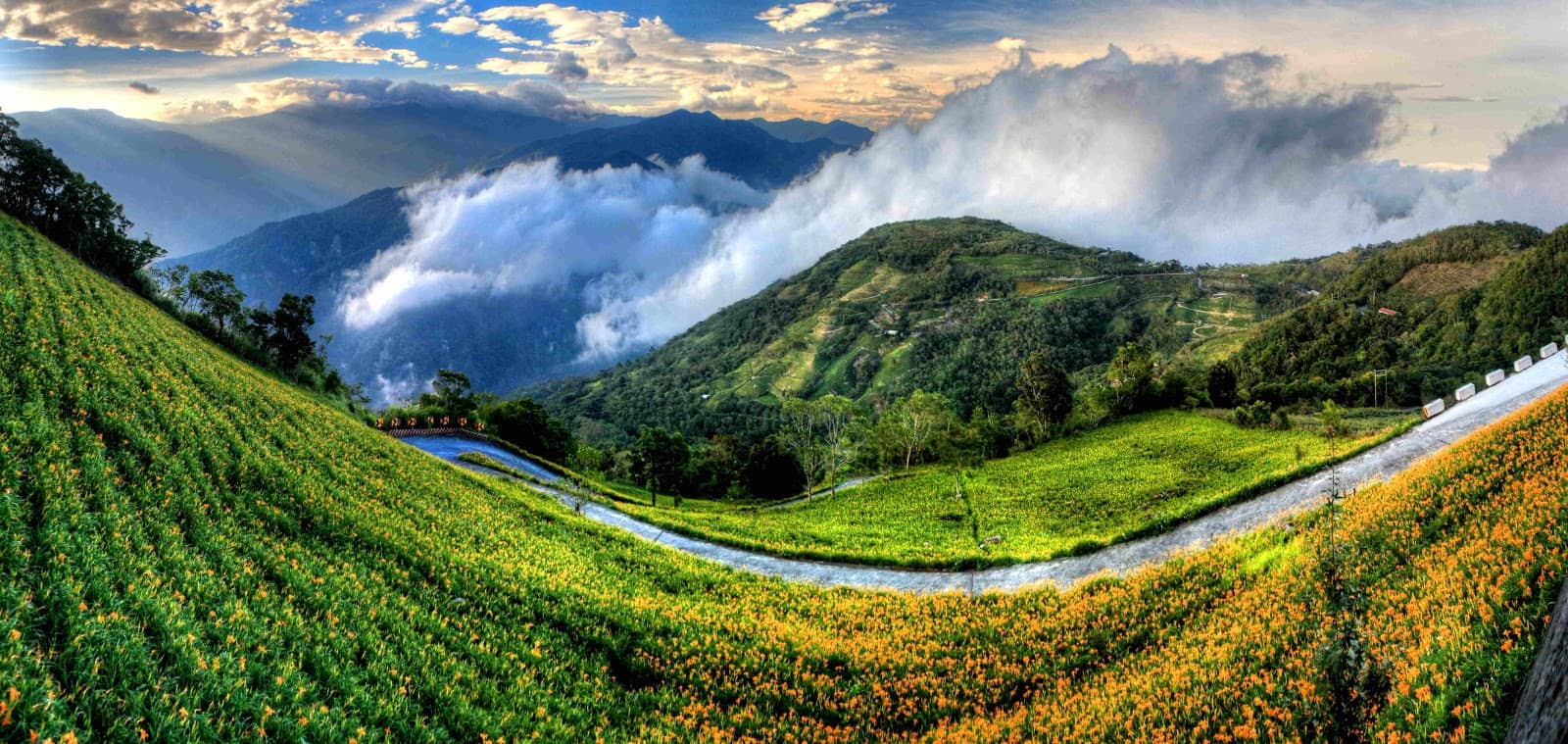 Sea of Clouds