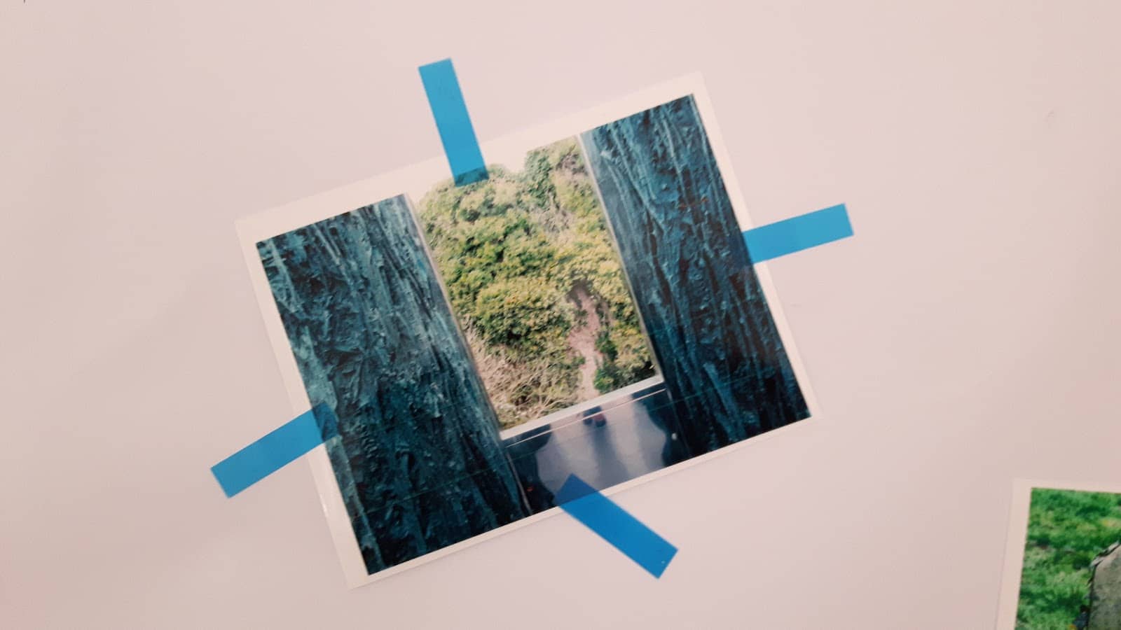 Vertical photo