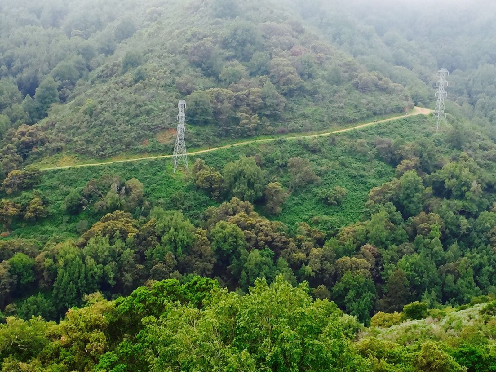 Stevens Creek Trail (Cupertino) - Image 1