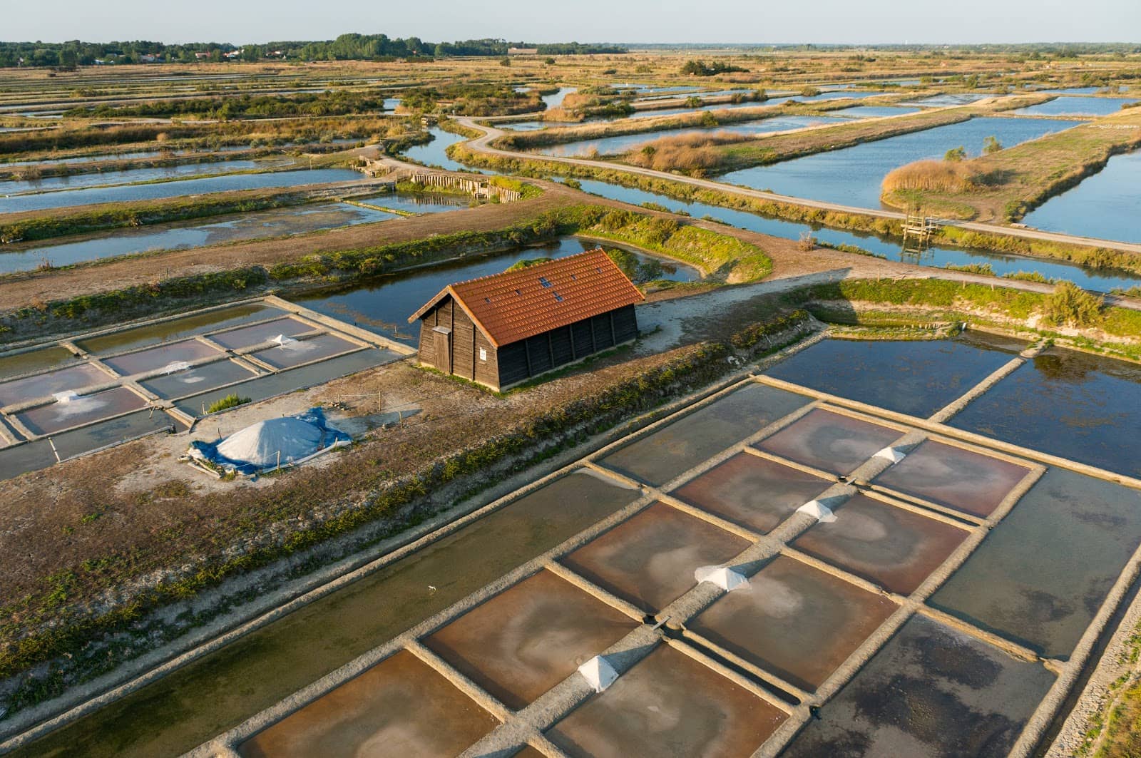 Hydraulic Turbine Innovation