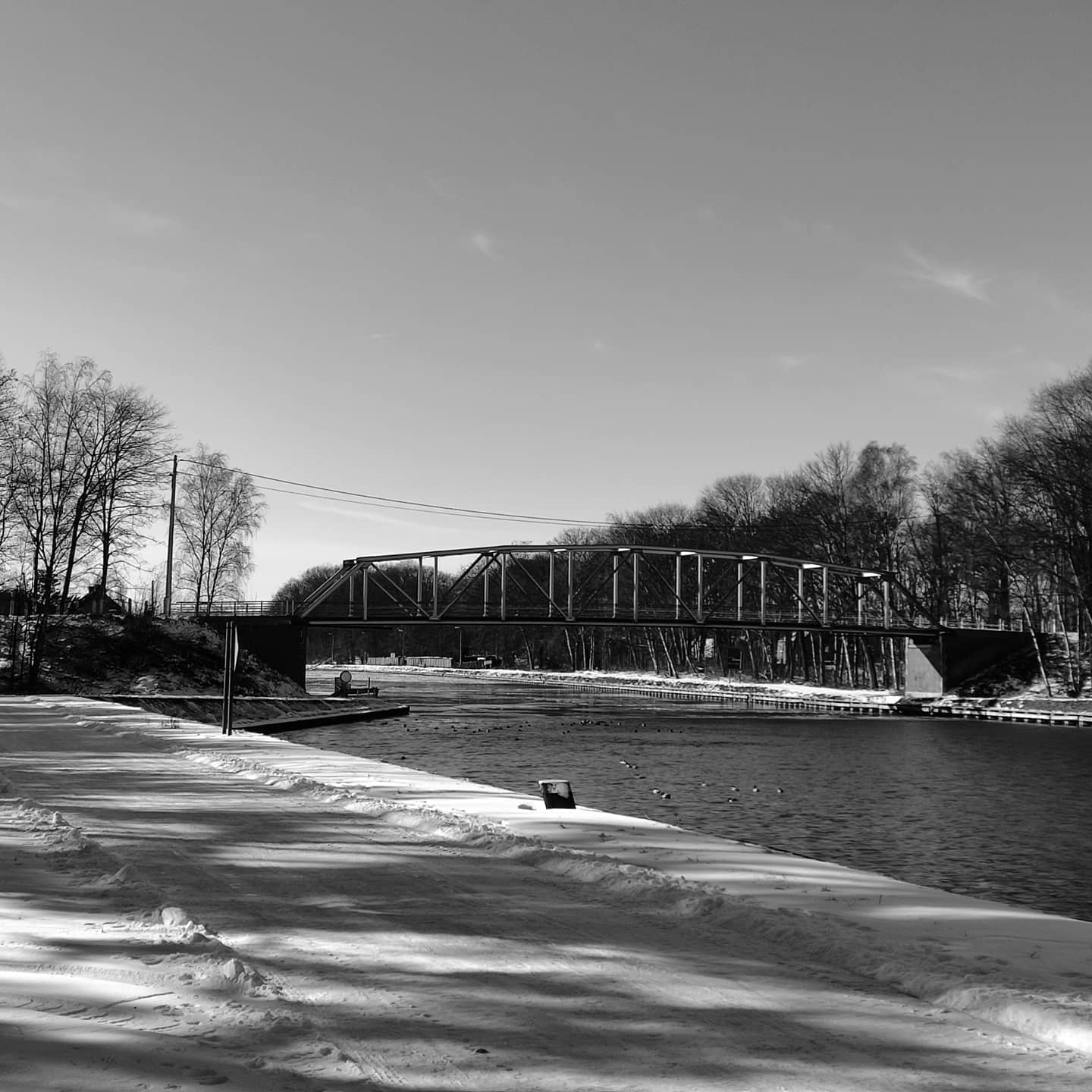 The Sunken Garden