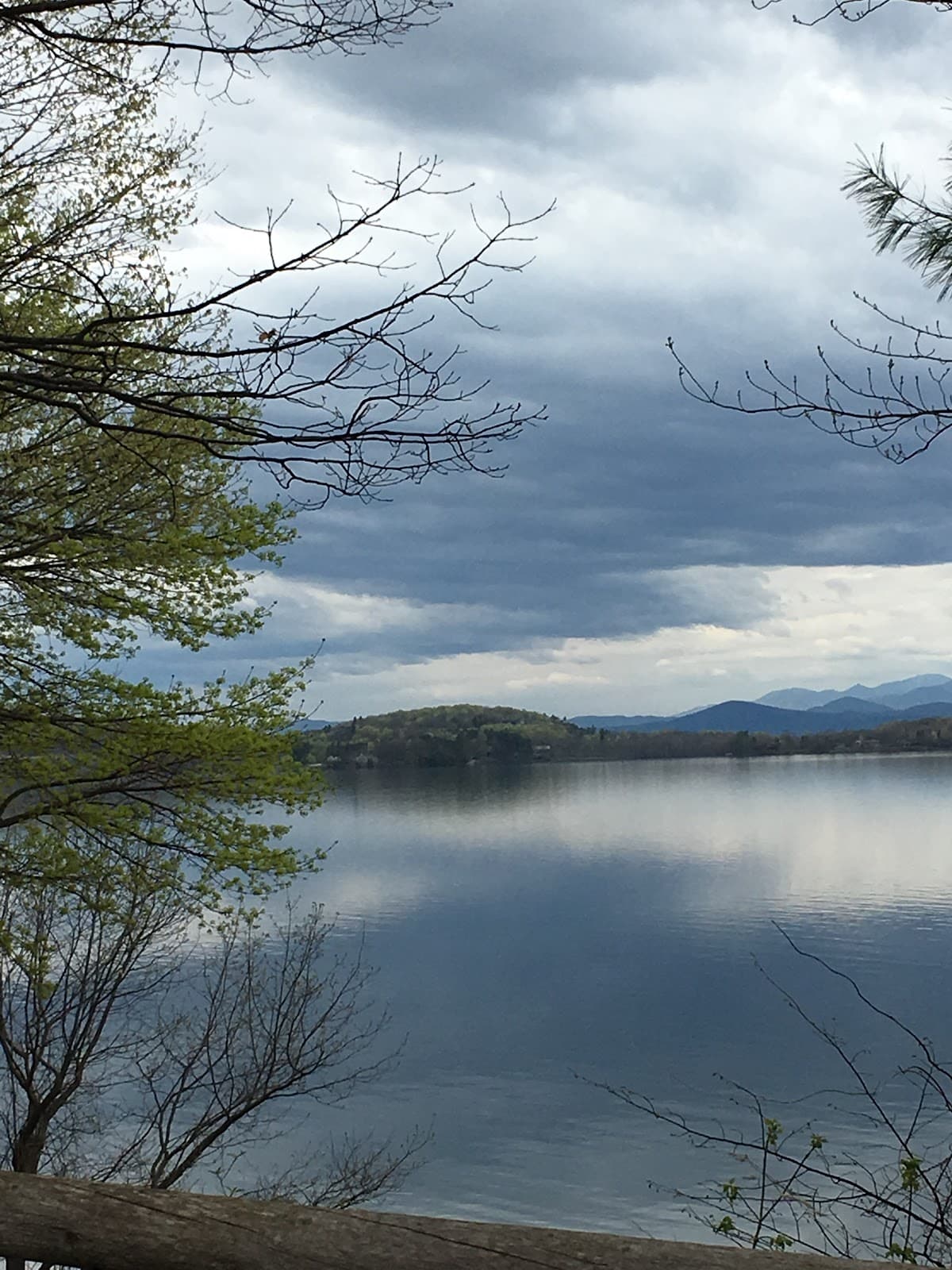 Queen City Park (neighborhood) - Image 1