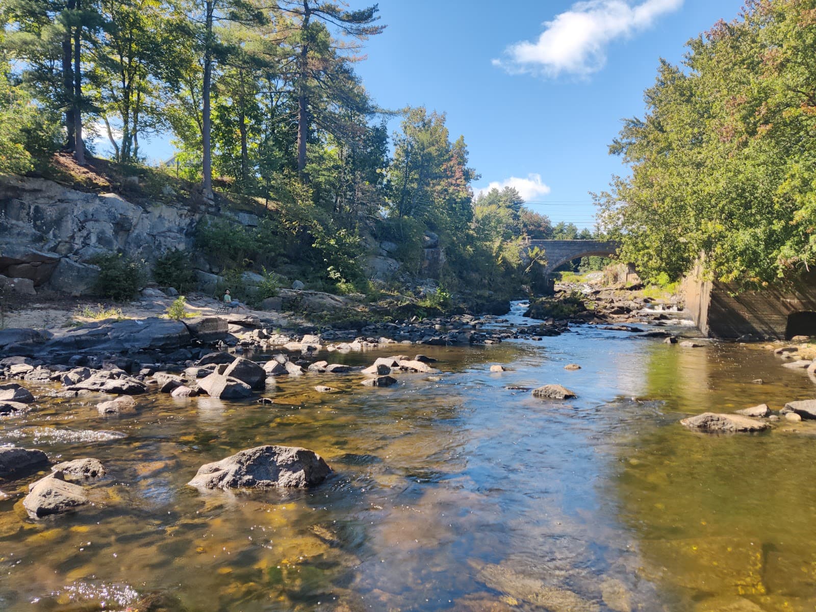 Watson Park - Image 1