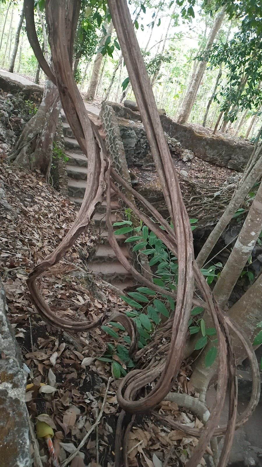 Goa Rancang Kencono - Image 1