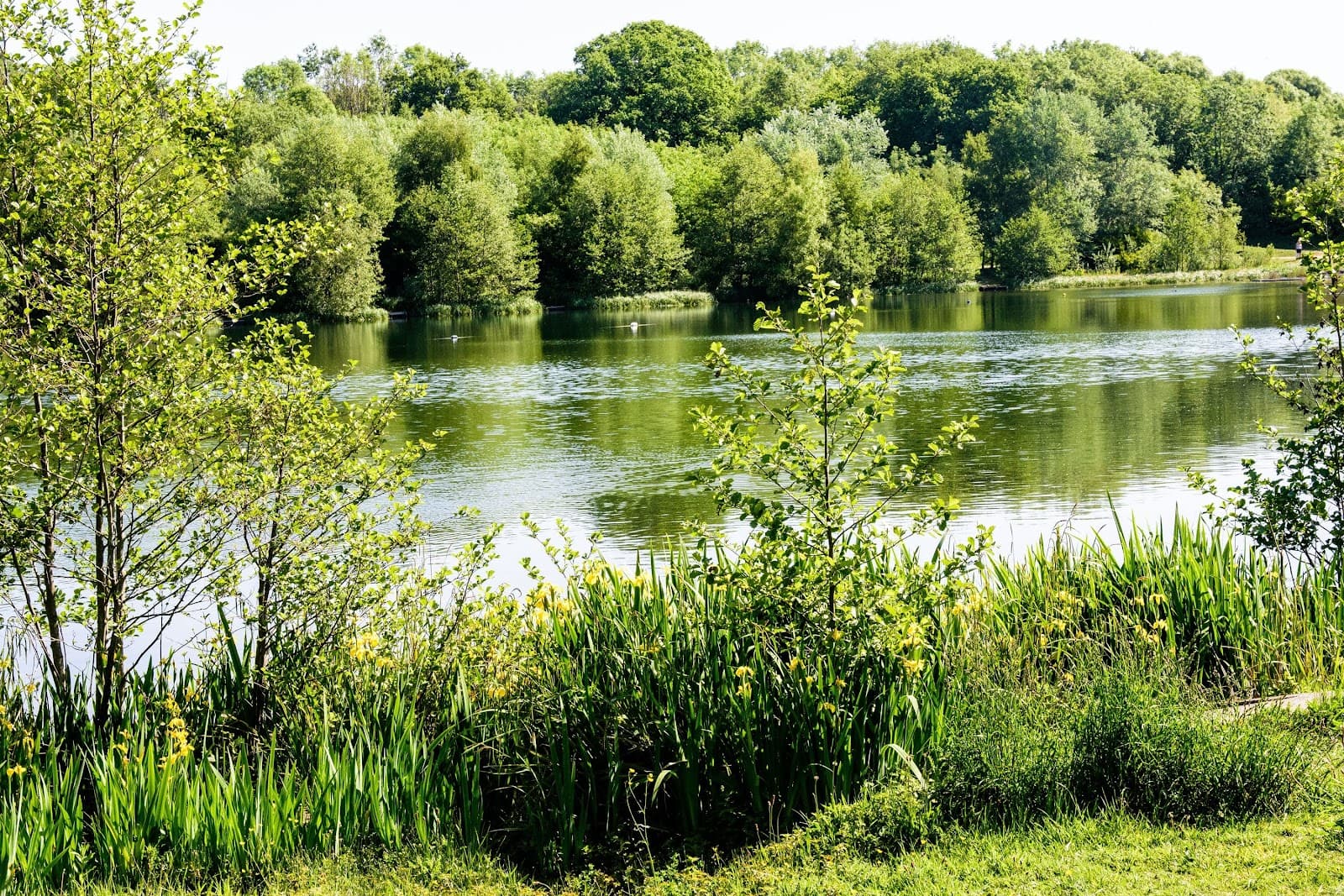 Holmebrook Valley Country Park - Image 1
