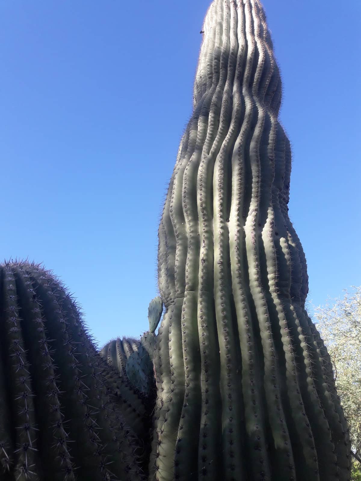 Vertical photo