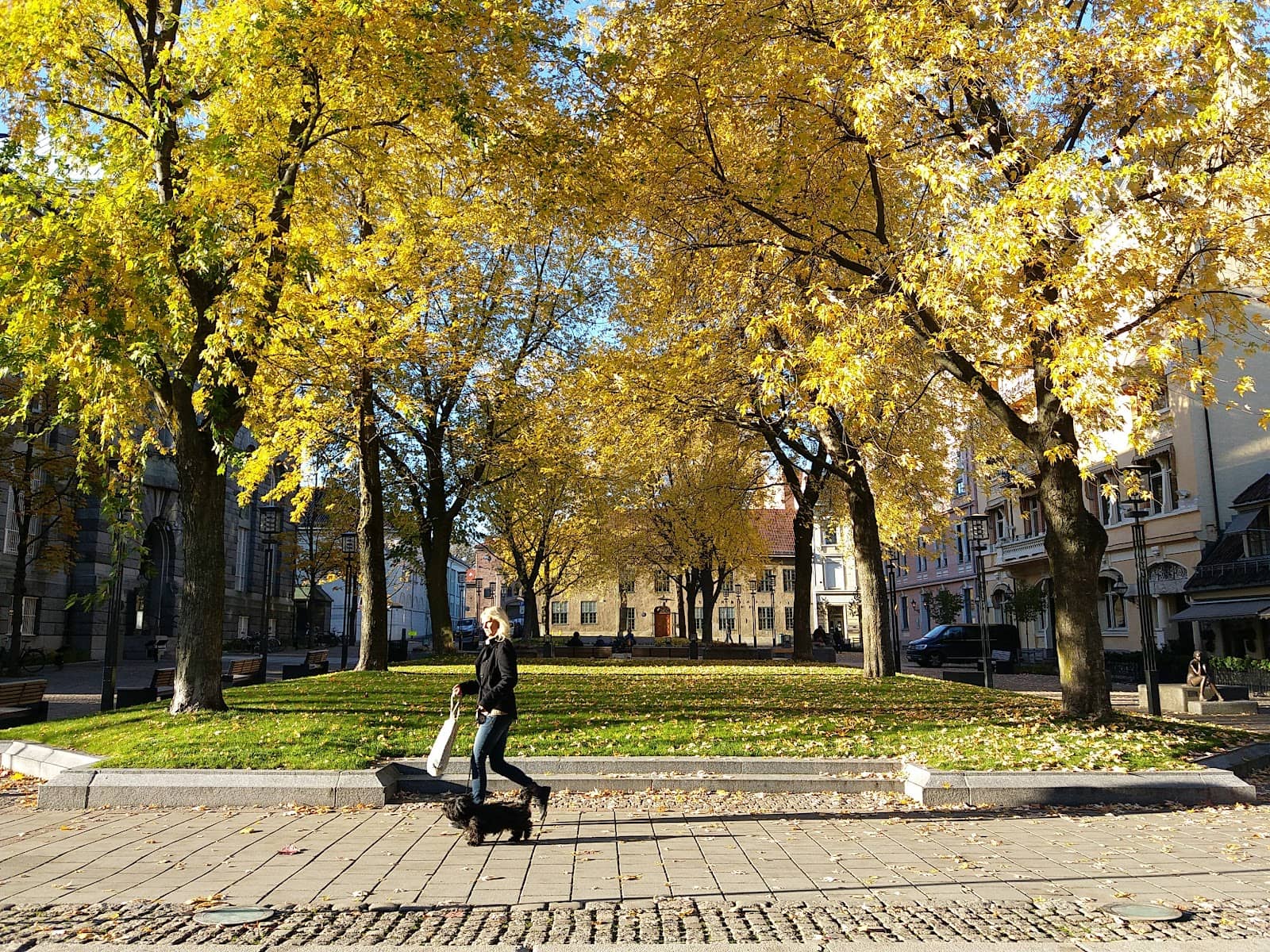 The Parliament Building (Stortinget)