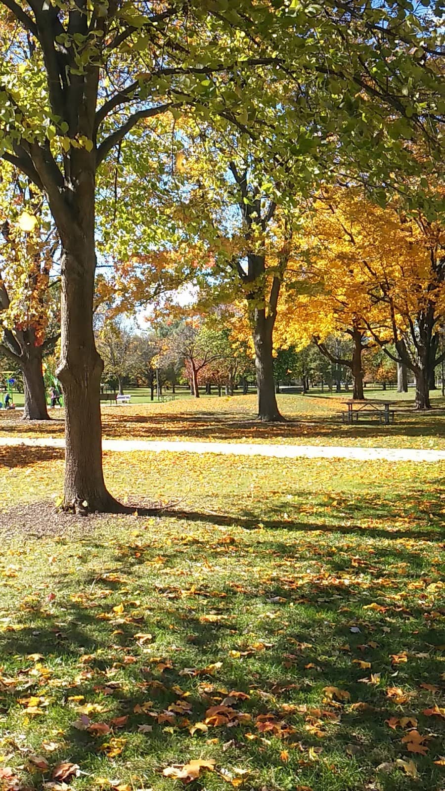 Sports Courts Galore