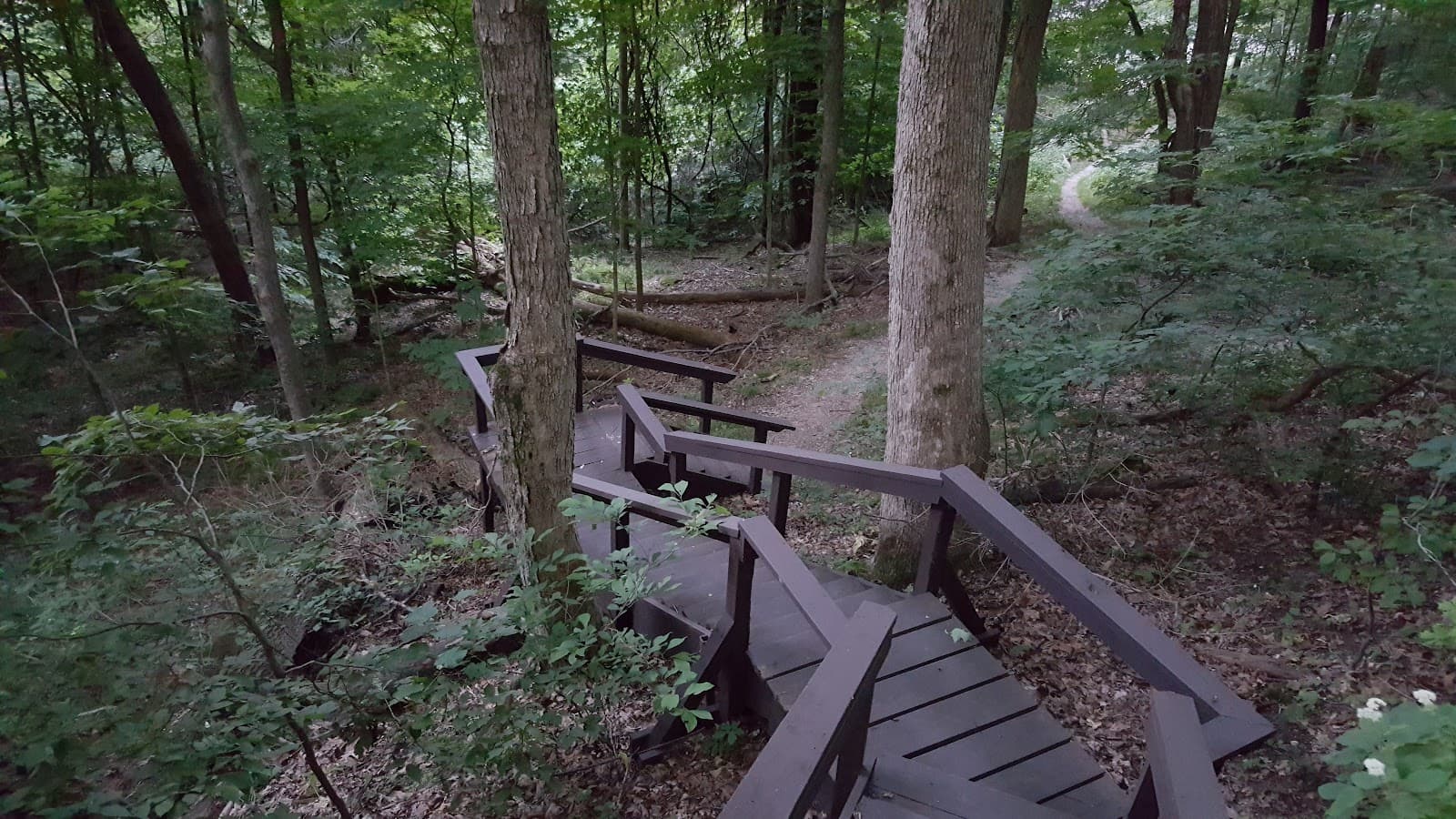 Rockwoods Reservation - Image 1