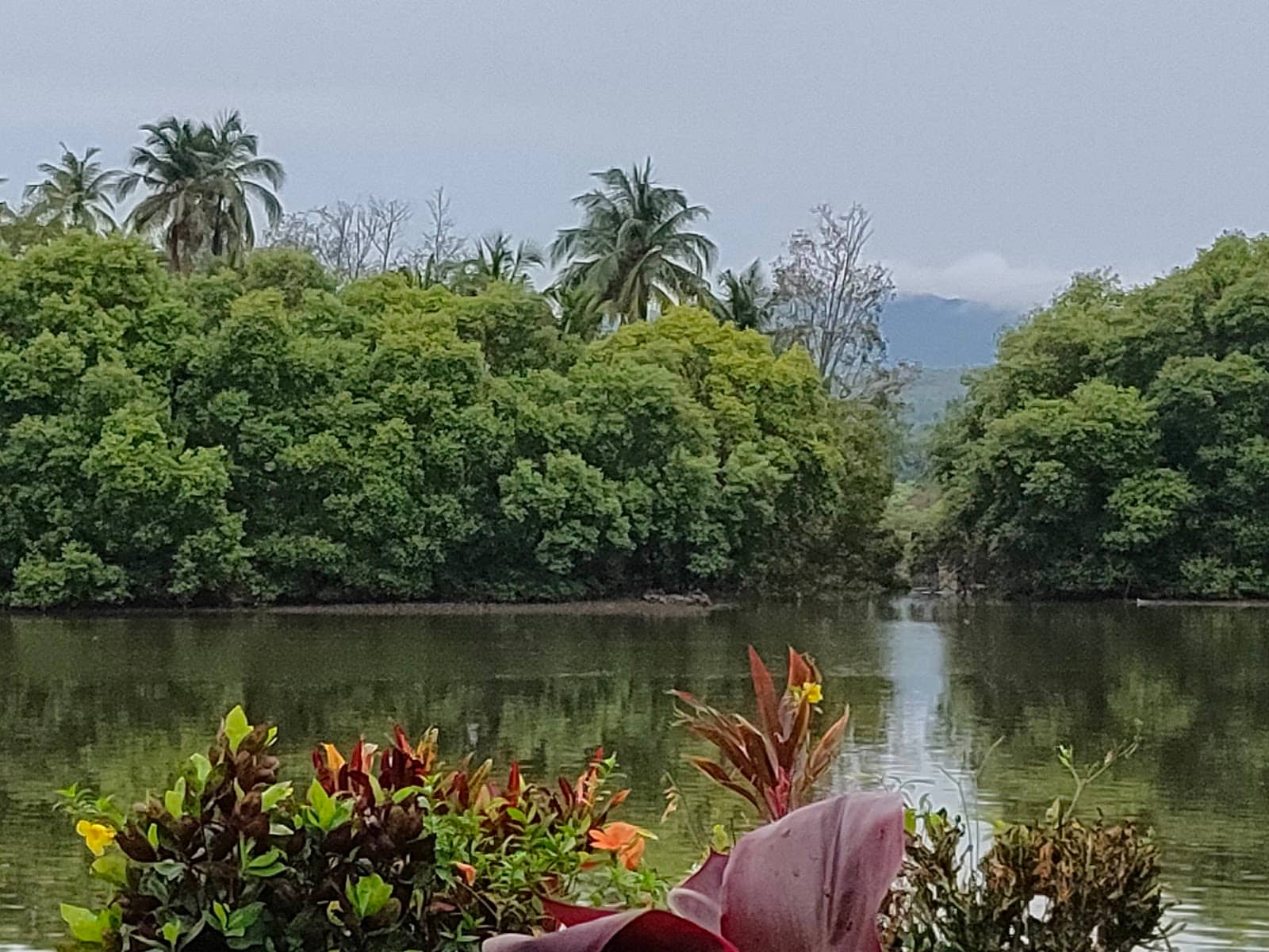 Tranquil River Cruises