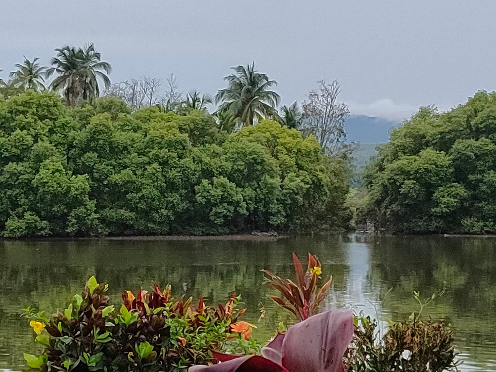 Sal River Cavelossim Goa - Image 1