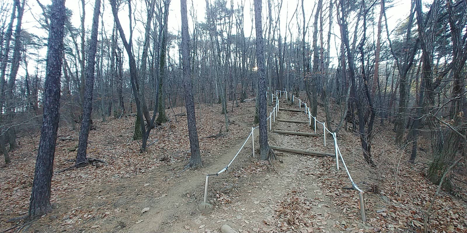 Scenic Hiking Trails