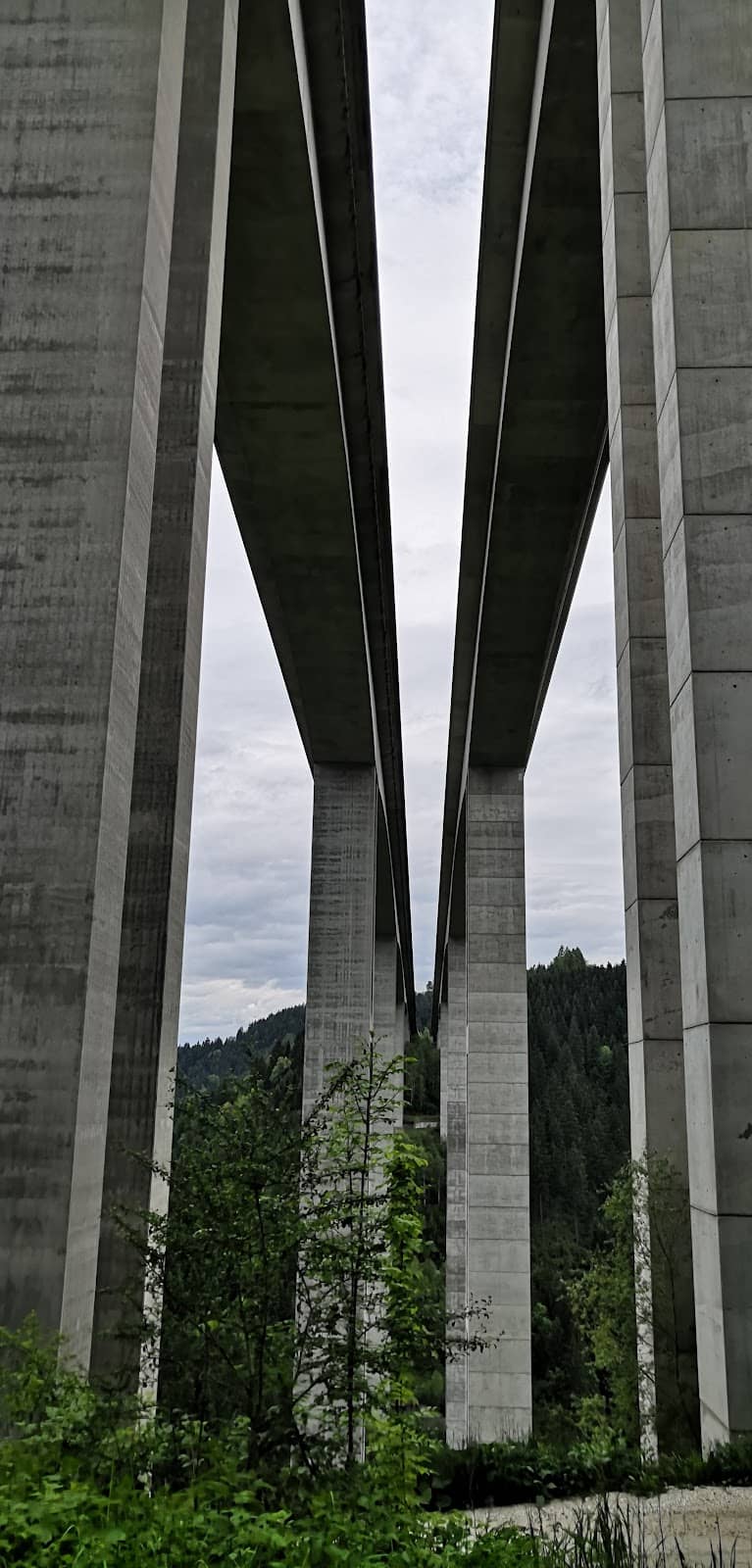 Vertical photo