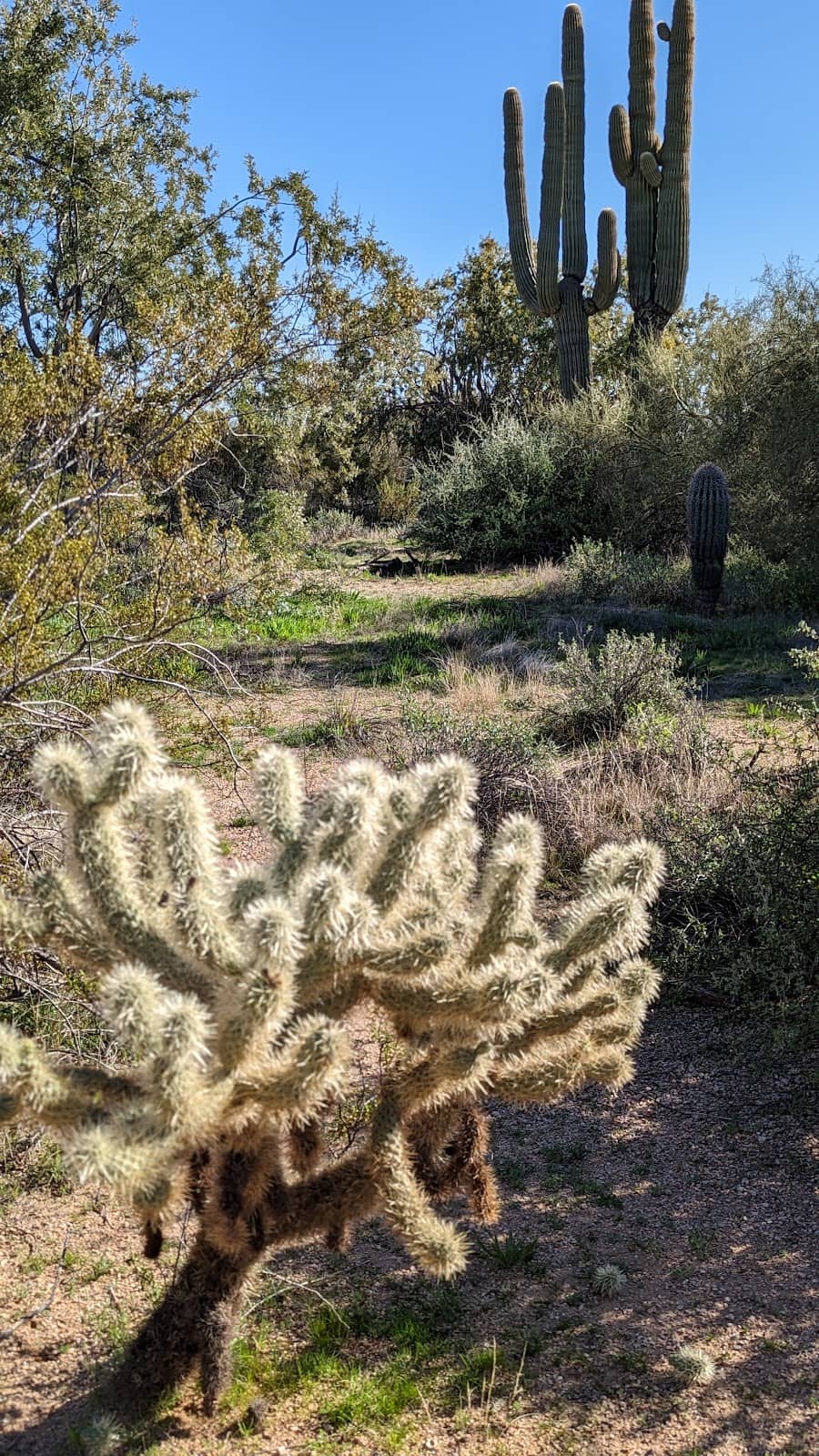 Kierland Commons & Scottsdale Quarter