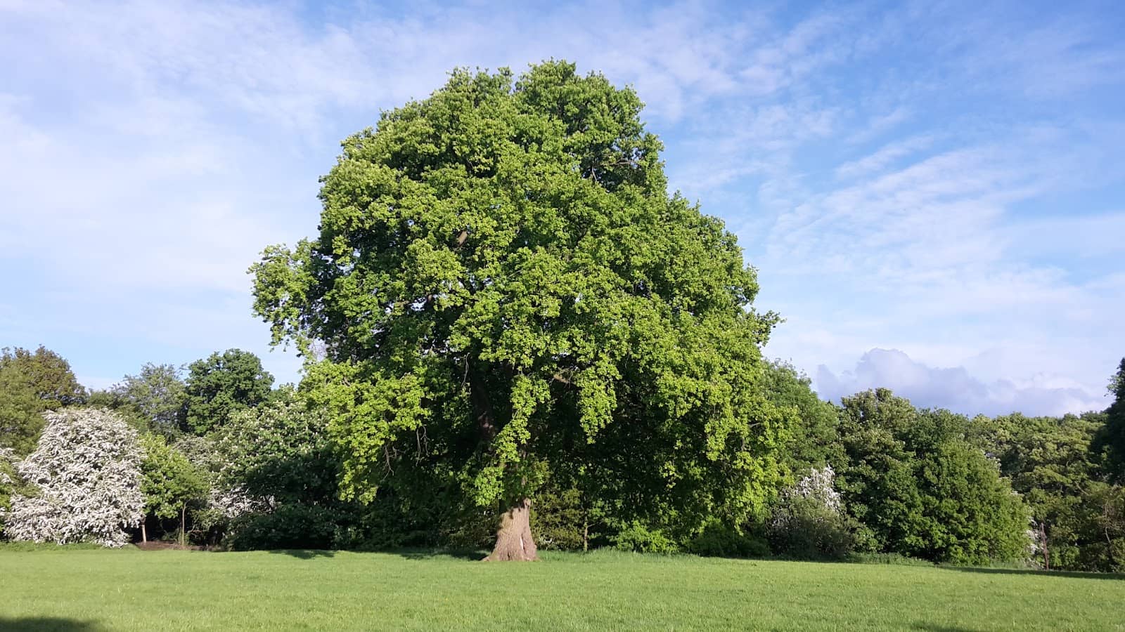 Wistaston Memorial Park