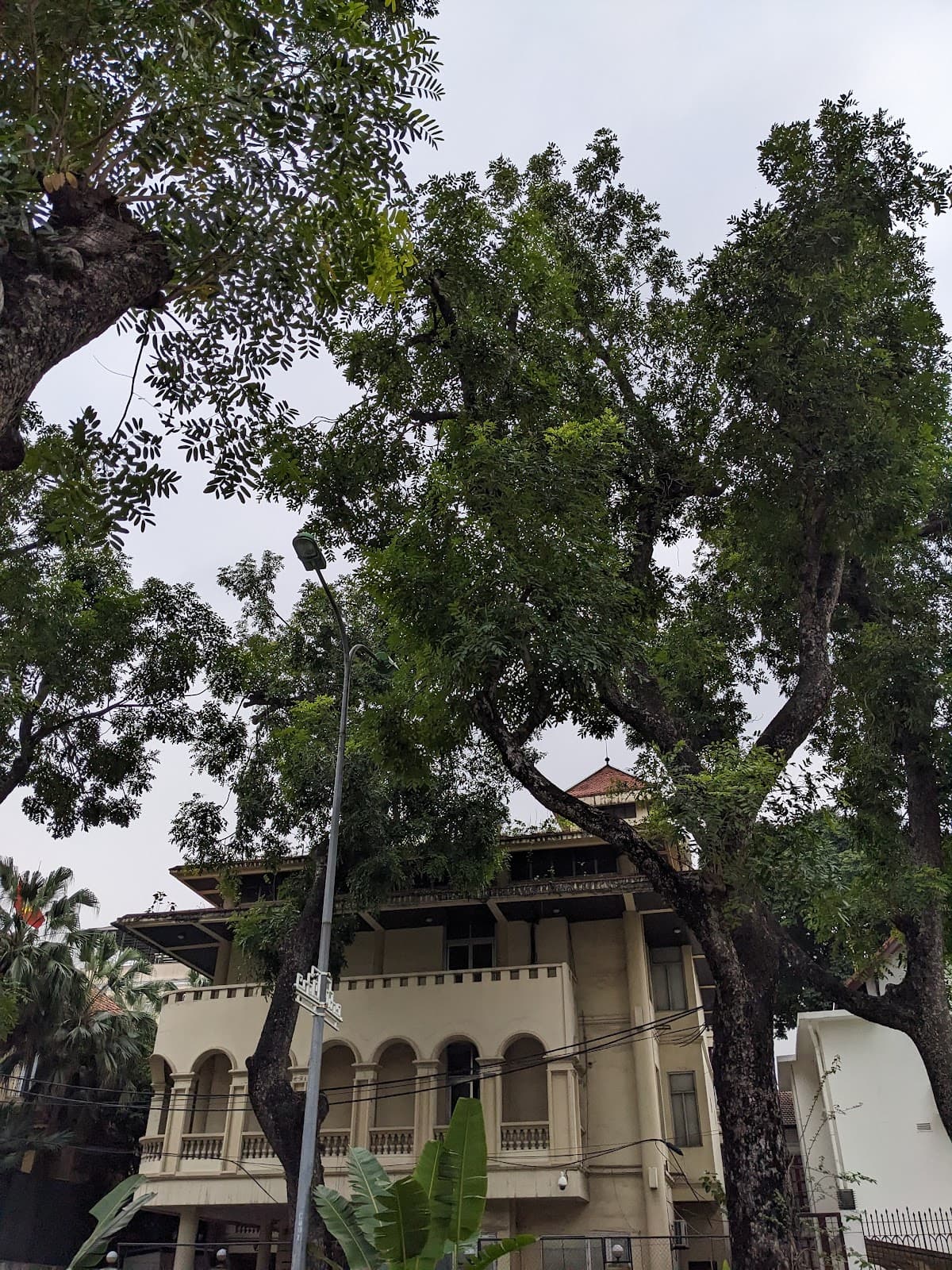 Nguyen Thai Hoc Street - Image 1