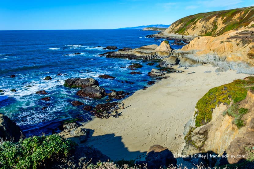 Bodega Head - Image 1