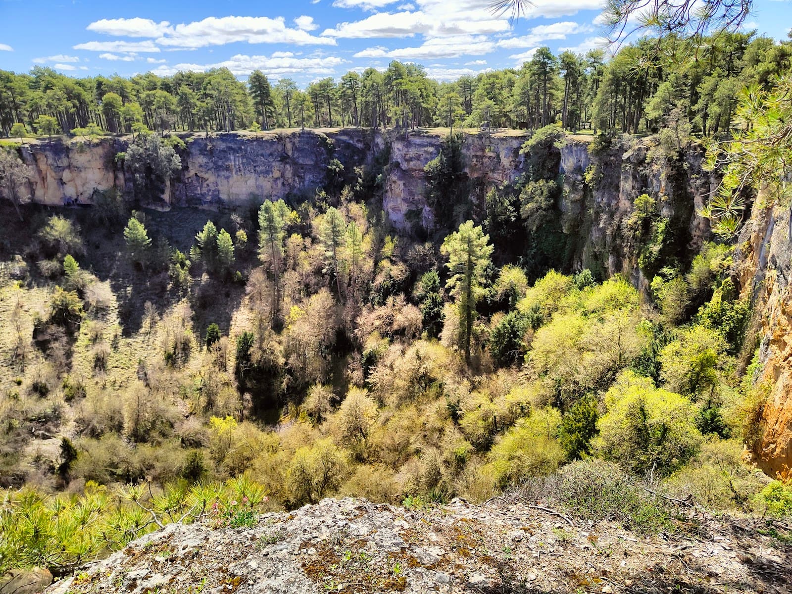 Torcas de los Palancares y Tierra Muerta - Image 1