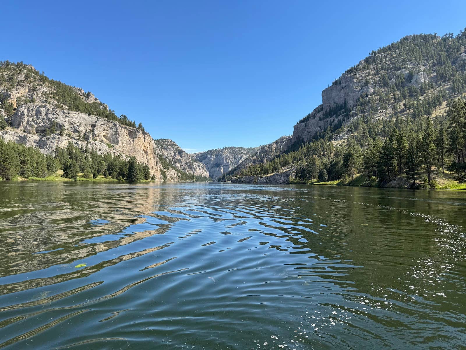 Abundant Wildlife Sightings