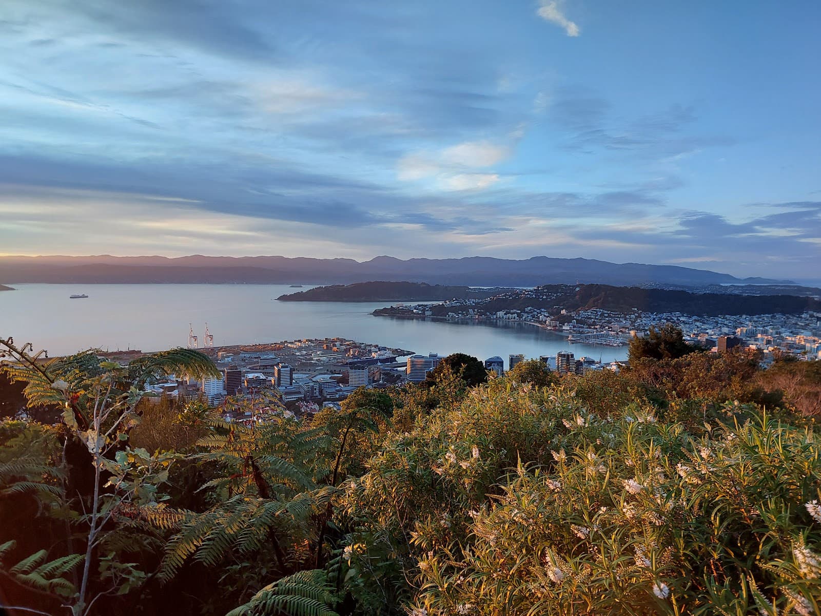 Te Ahumairangi Hill - Image 1