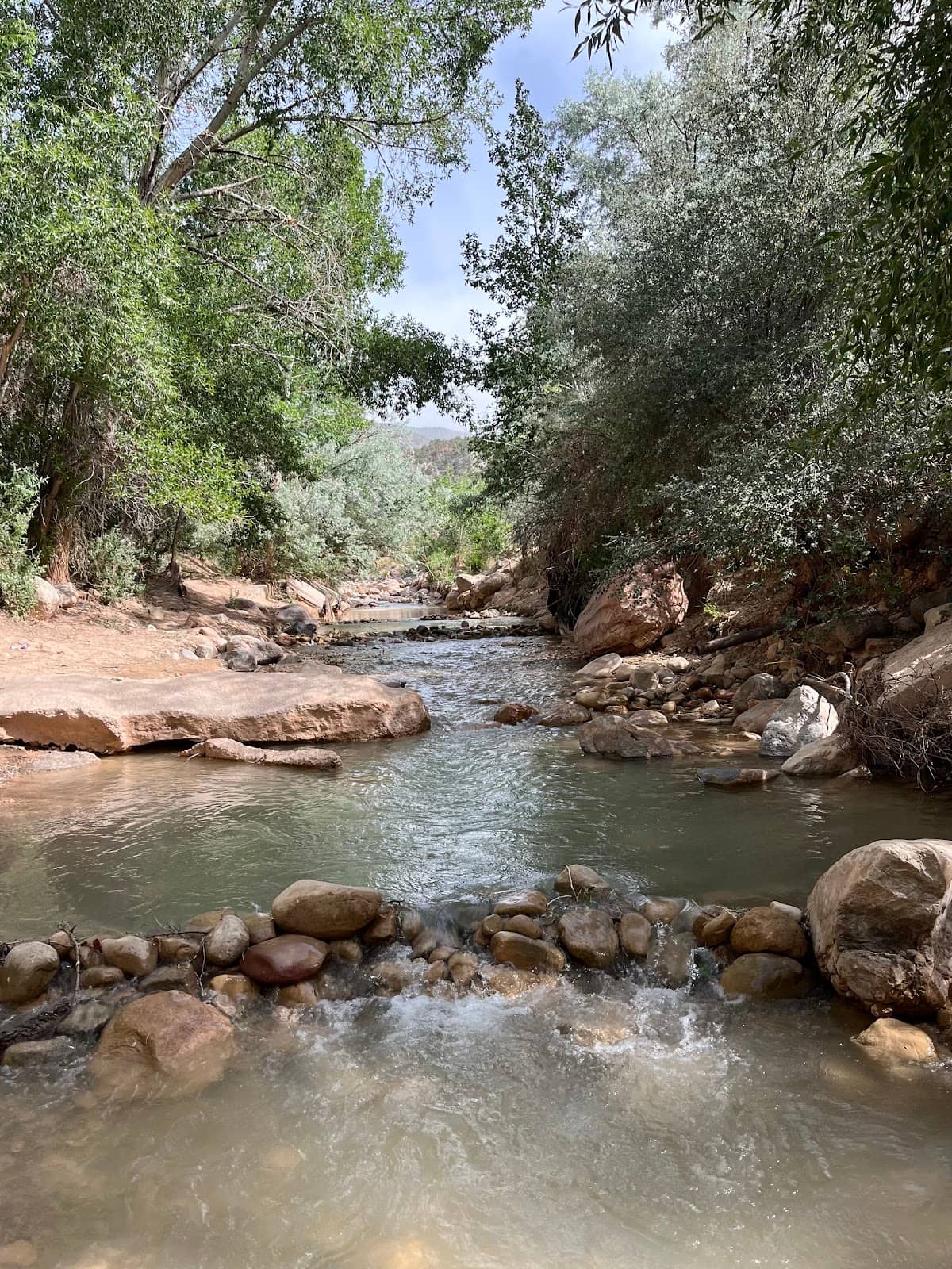 Scenic Coal Creek Trail