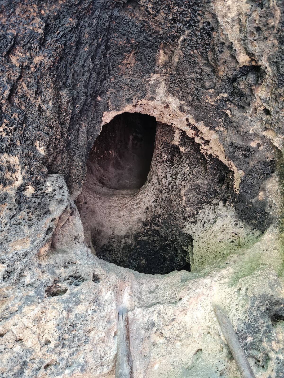 Vertical photo