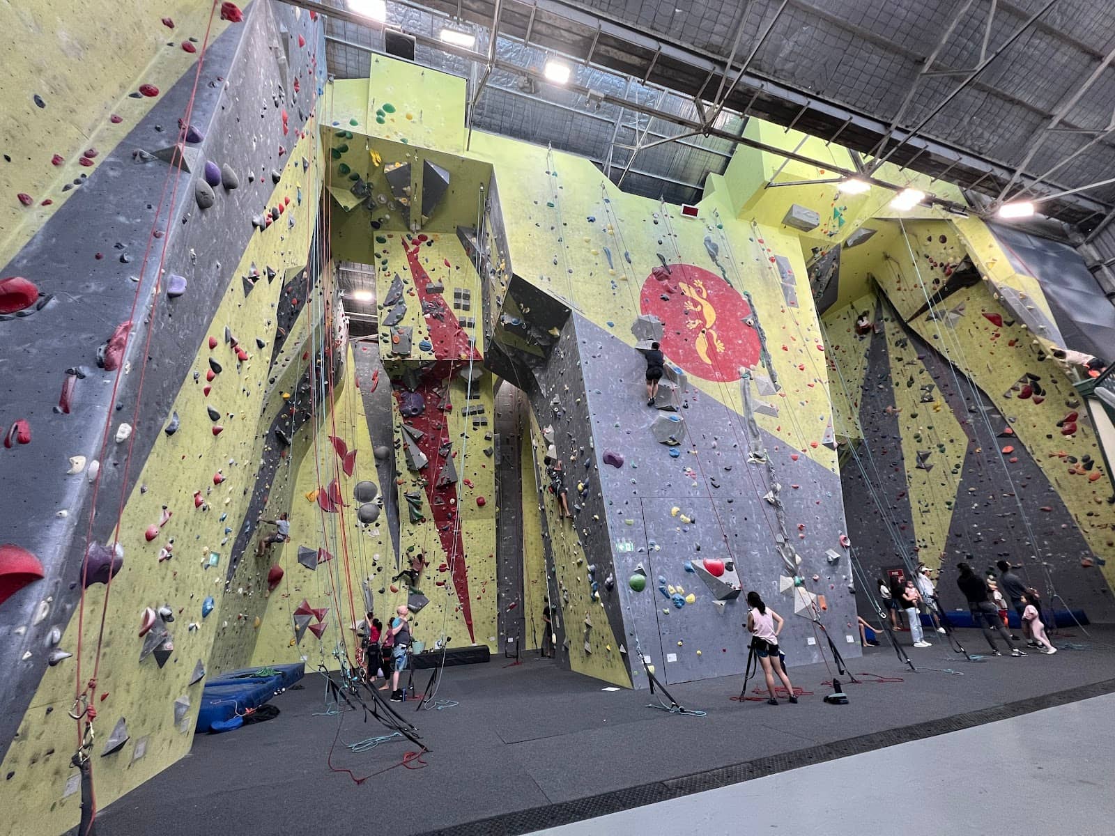 Vertical photo