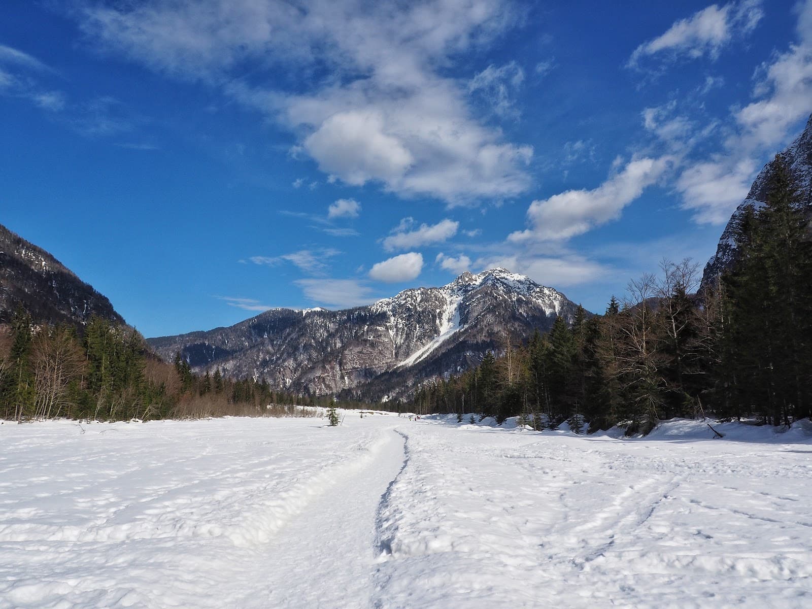Saisera Wild Track - Image 1