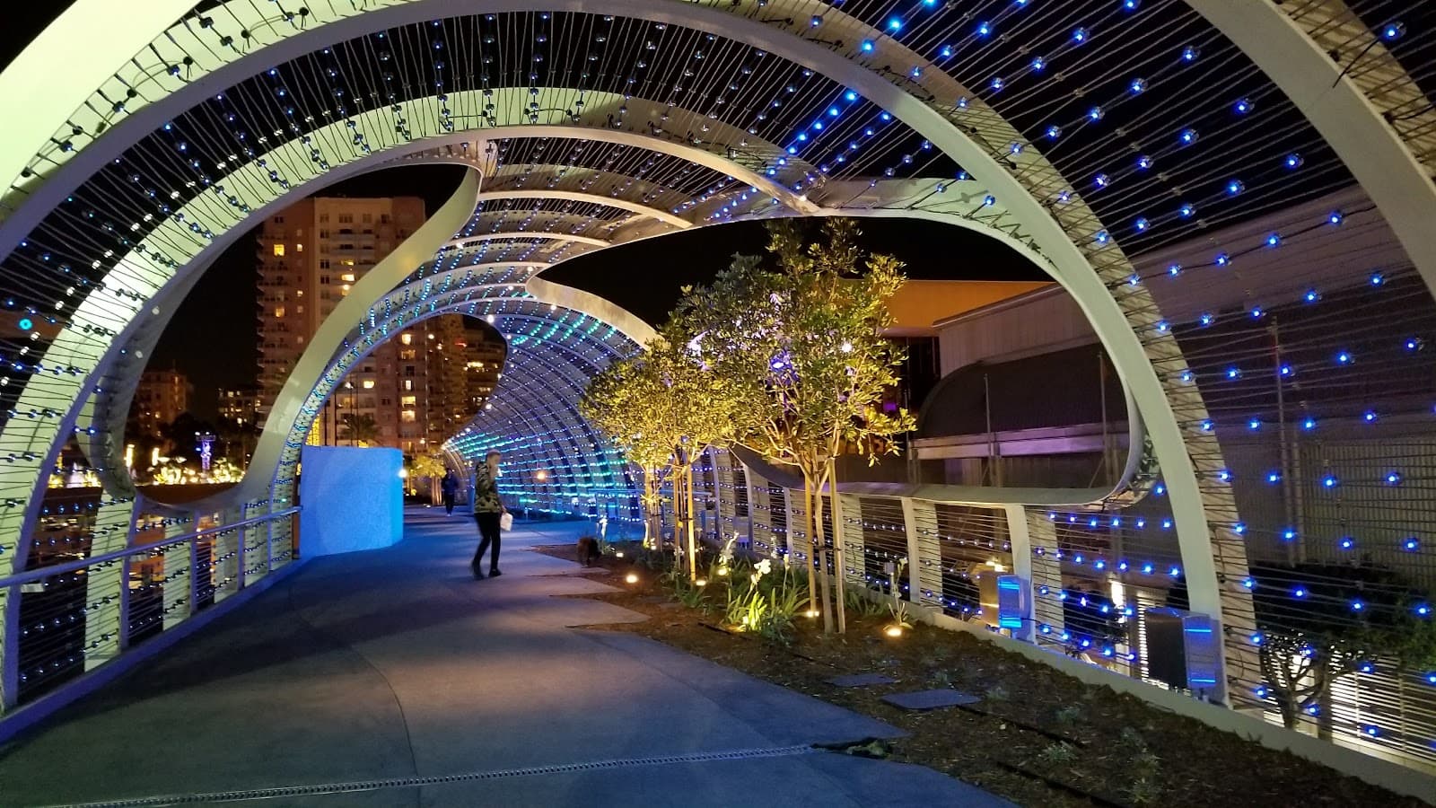 Rainbow Bridge pedestrian - Image 1