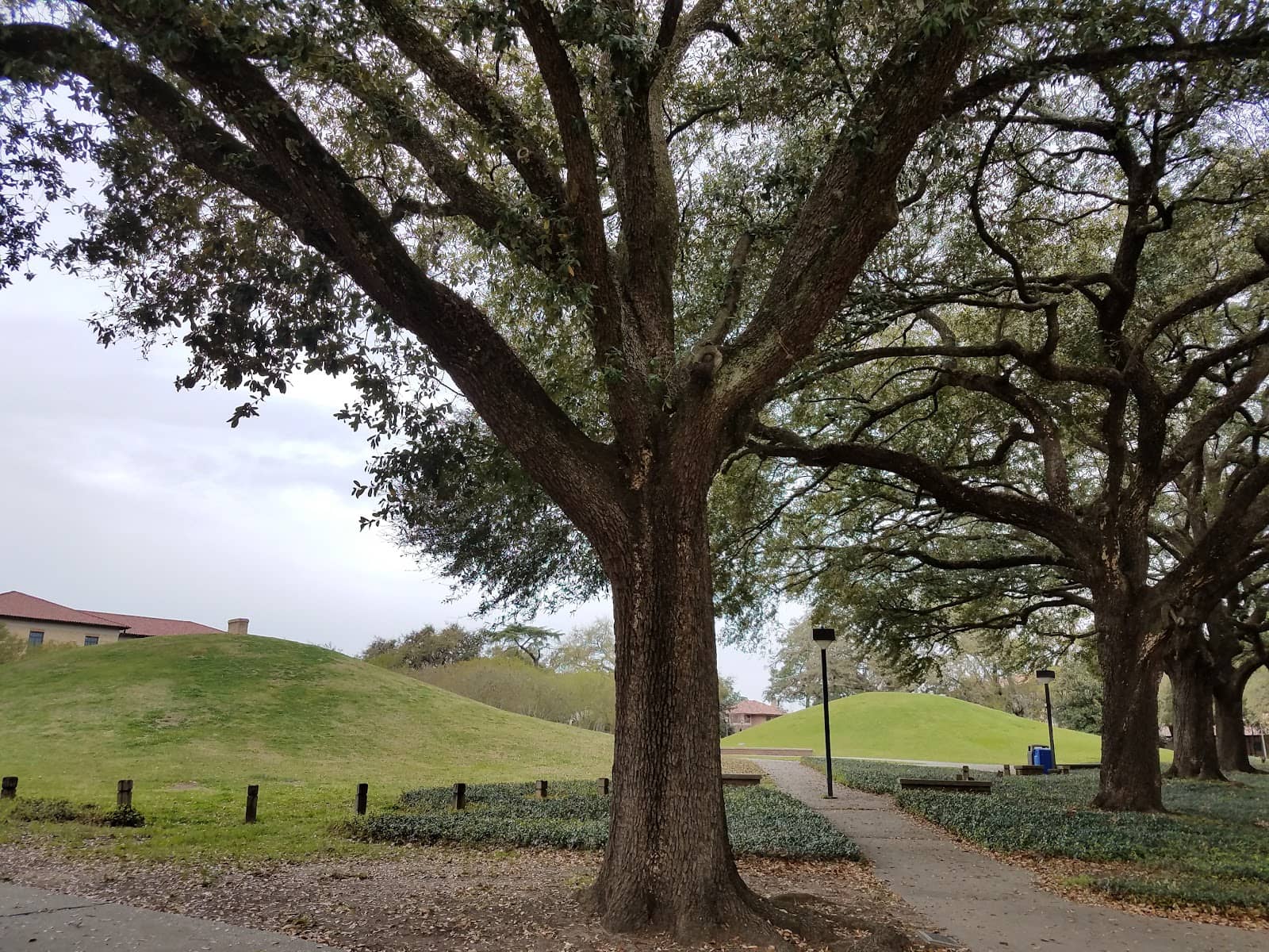 Interpretive Signage