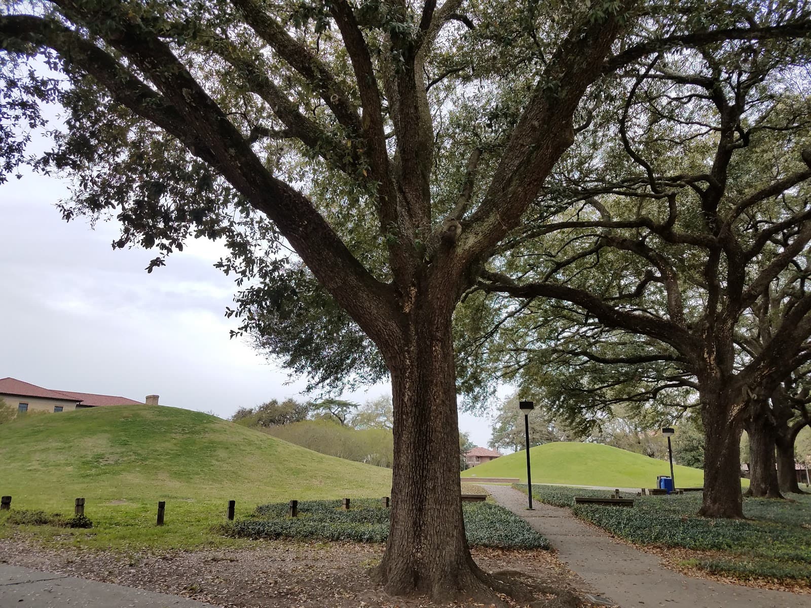 LSU Indian Mounds - Image 1