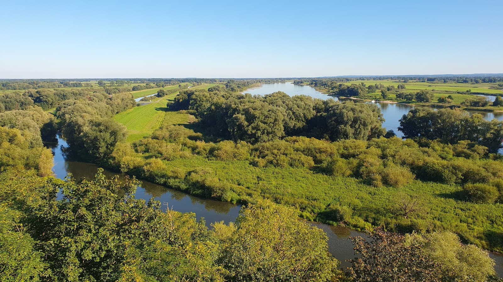 Elbe River Biosphere Reserve (Elbtalaue) - Image 1