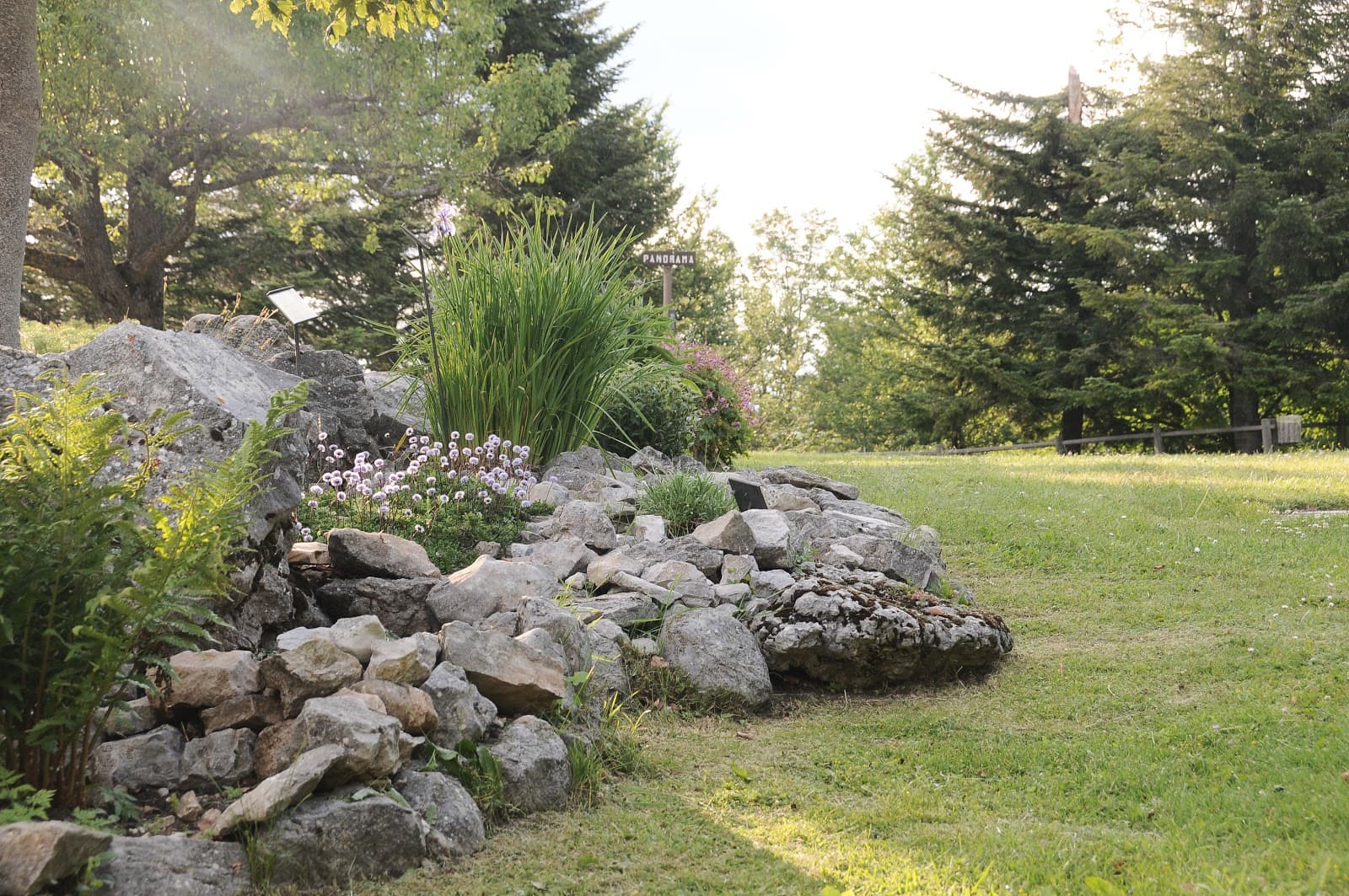 Capracotta Alpine Garden - Image 1