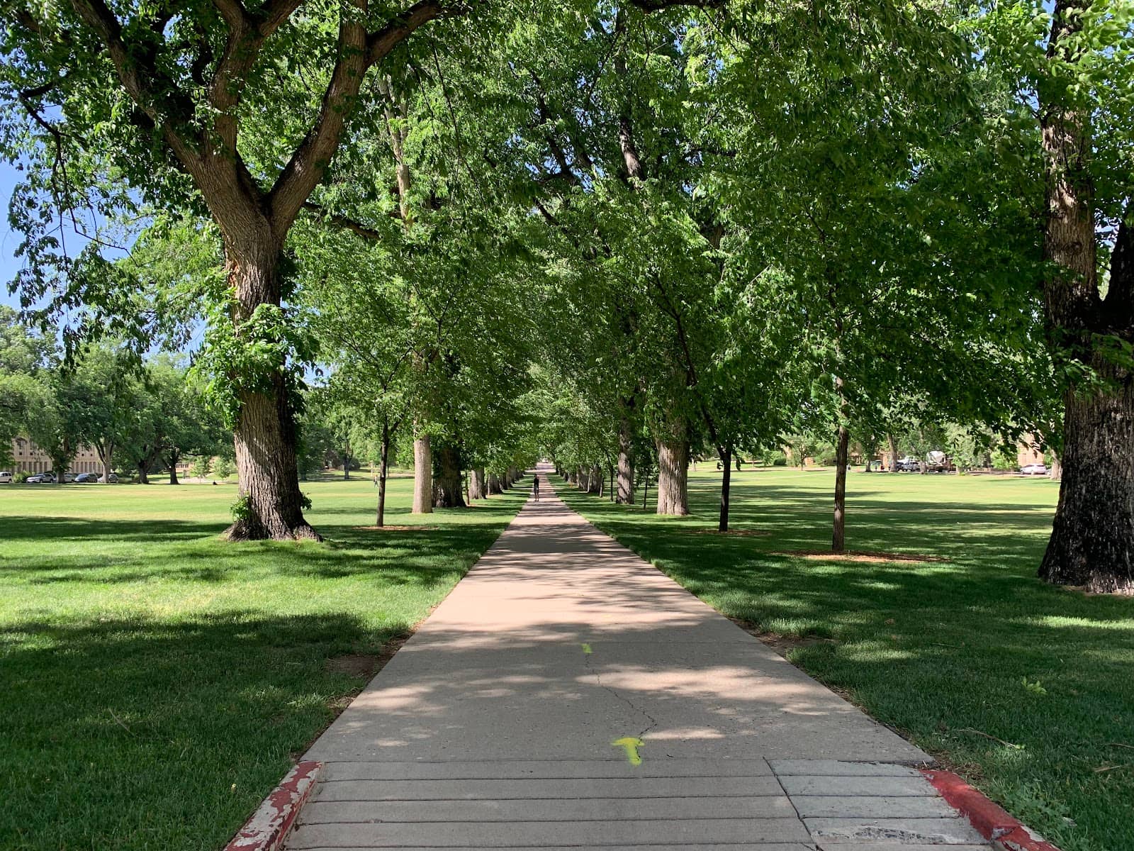 Graduation Portraits