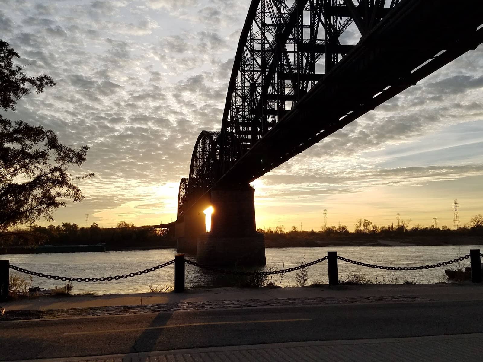 Vertical photo