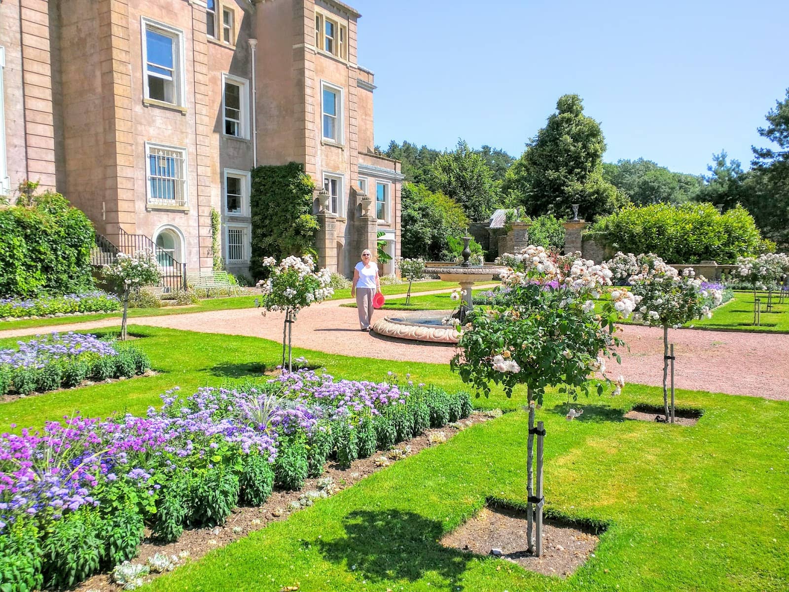The Victorian Shrub Garden