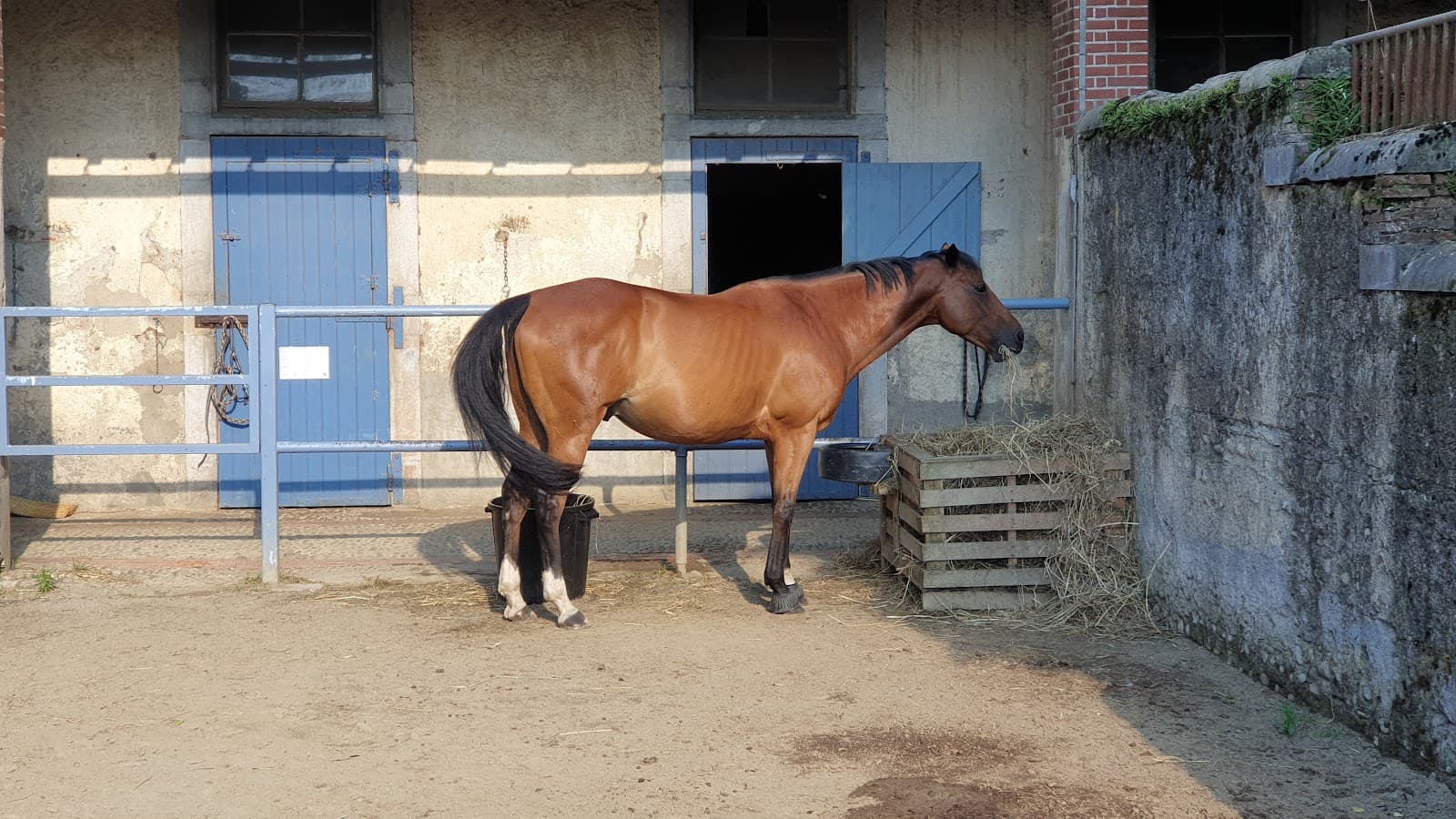 Haras National de Tarbes - Image 1