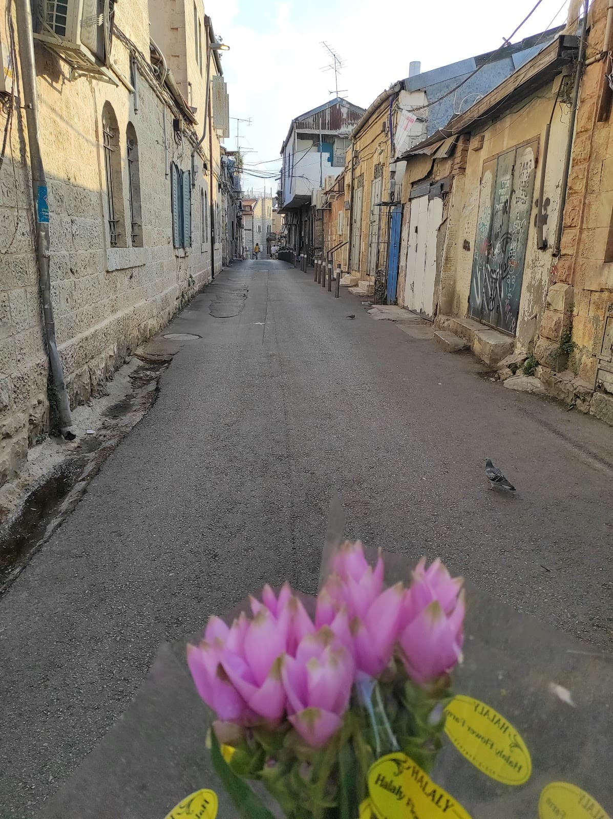 Nachlaot Jerusalem - Image 1