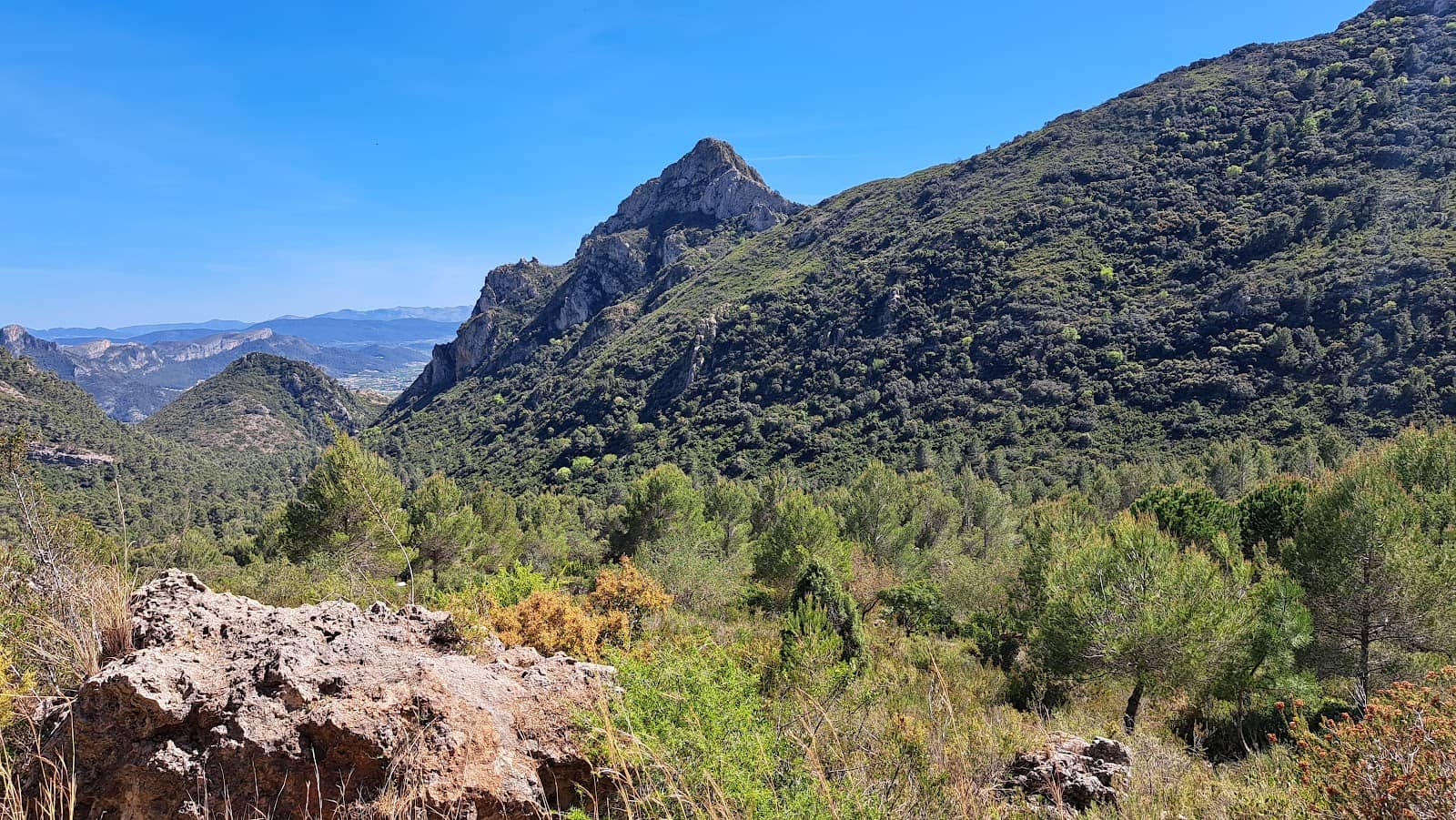 Scenic Hiking Trails