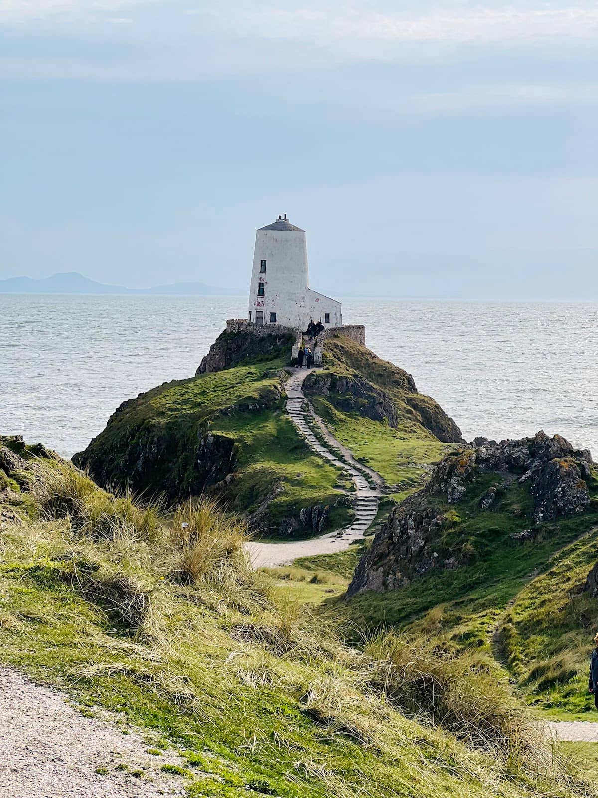 Newborough Forest Trails