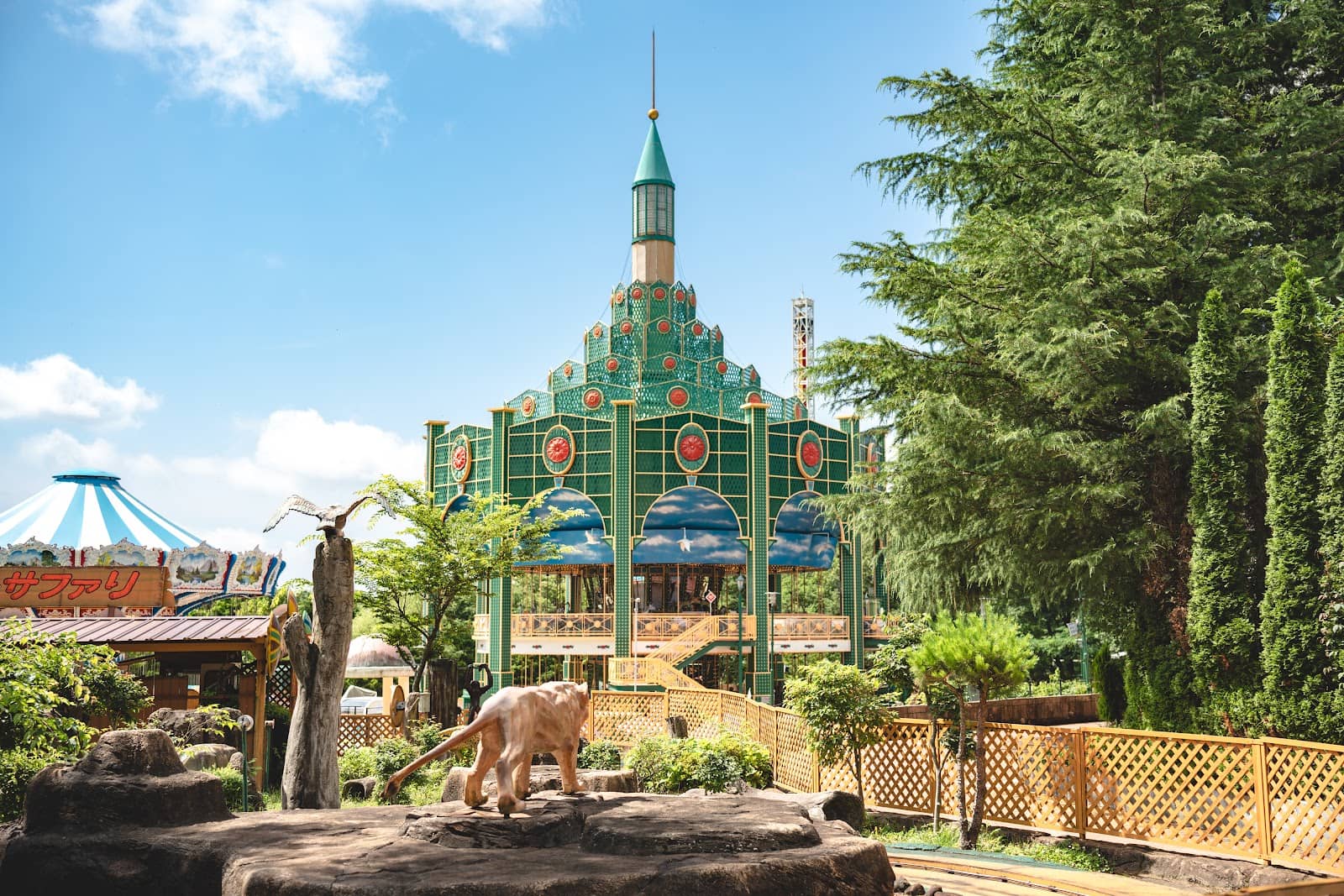 Scenic Roller Coaster Bus