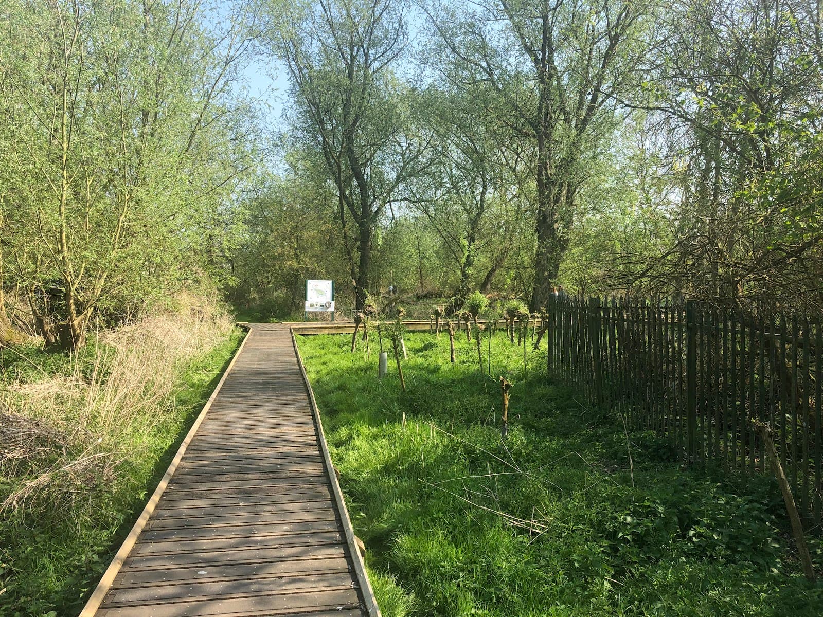 Holt Island Nature Reserve - Image 1