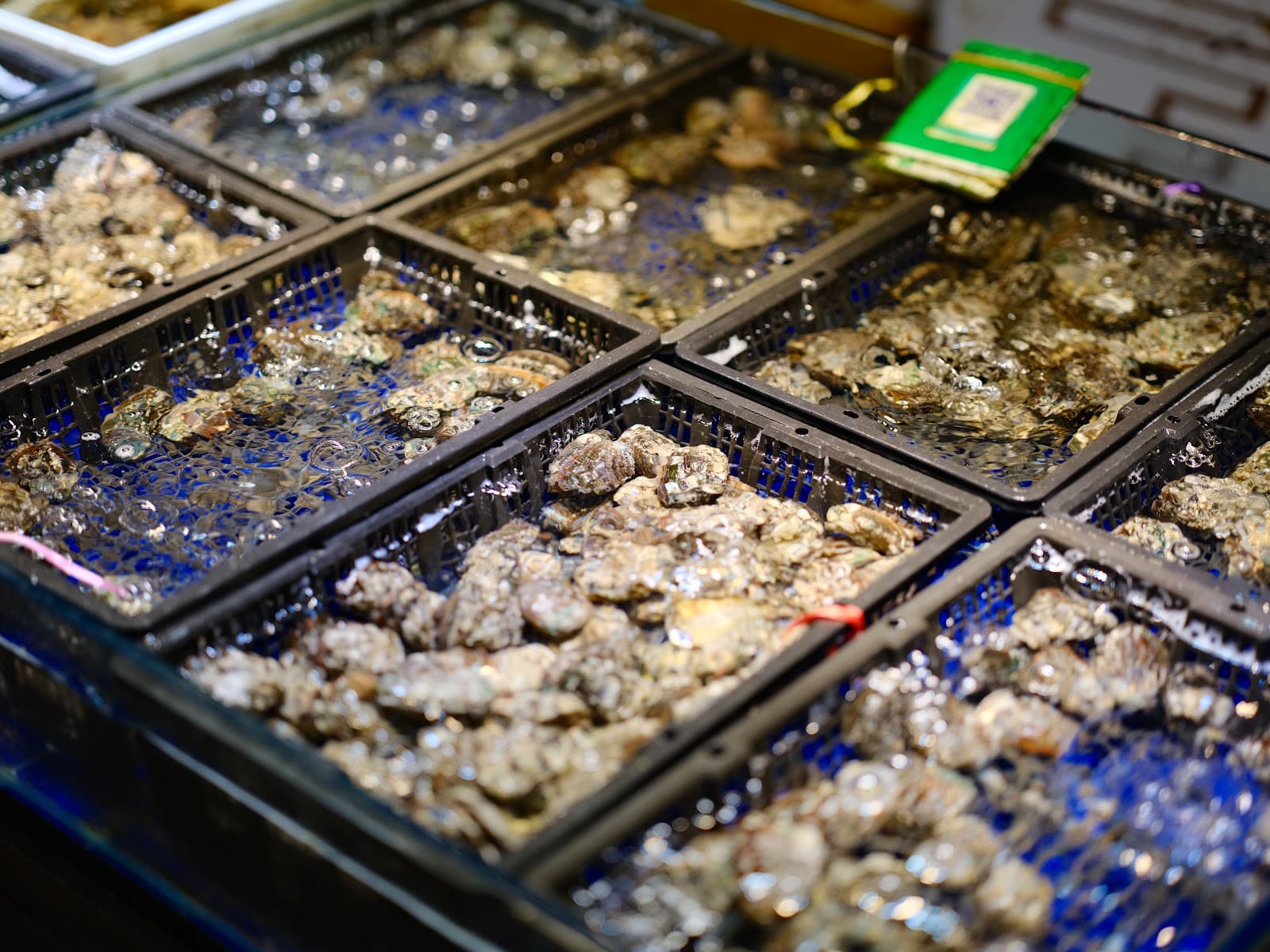 Heping Road Seafood Market - Image 1