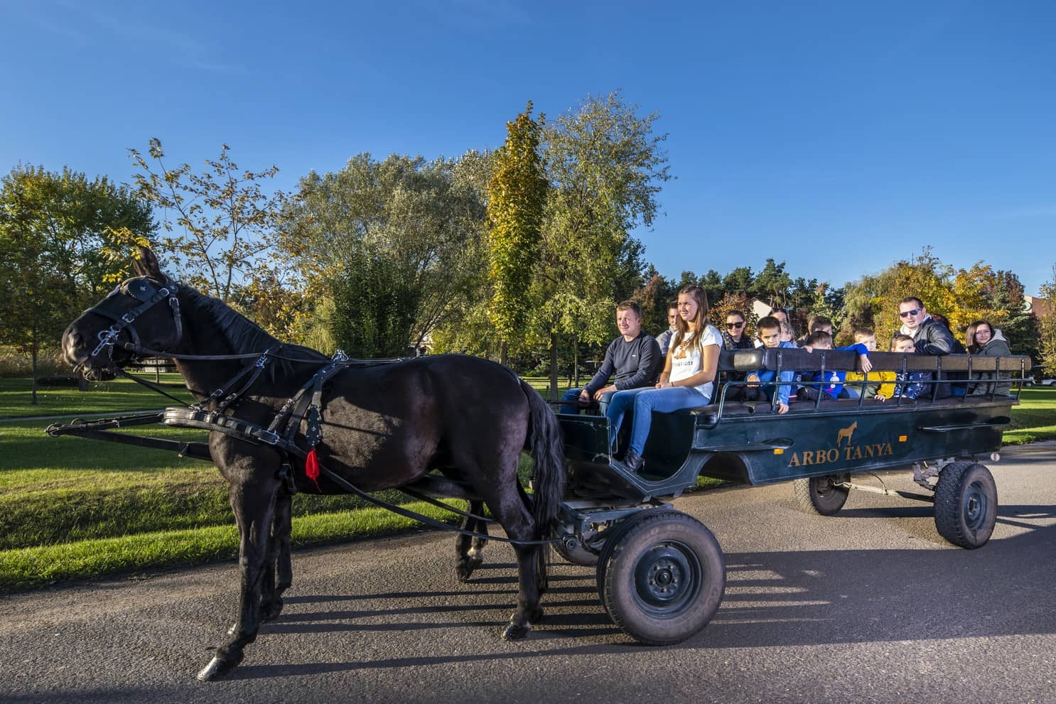 Spacious Playgrounds