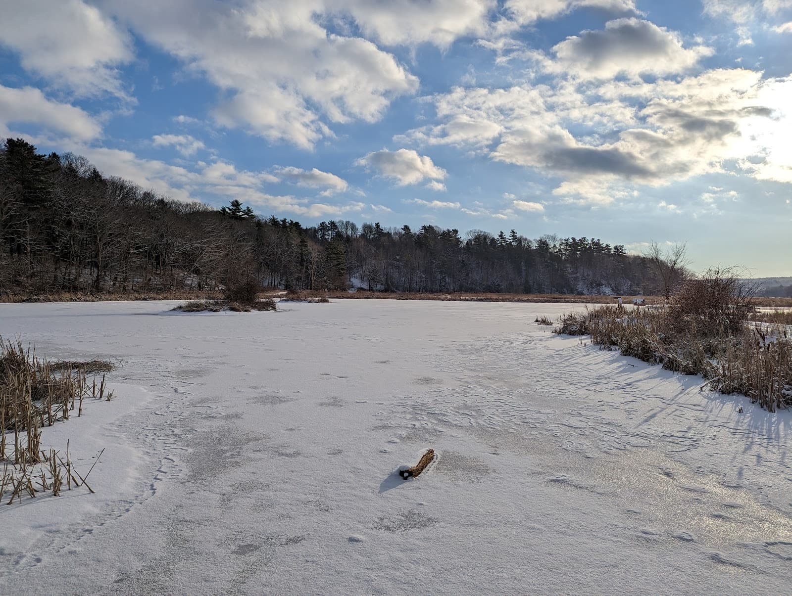 Kentville Miner’s Marsh - Image 1