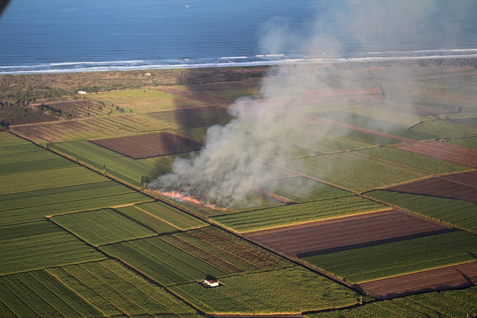 Patches Beach - Image 1