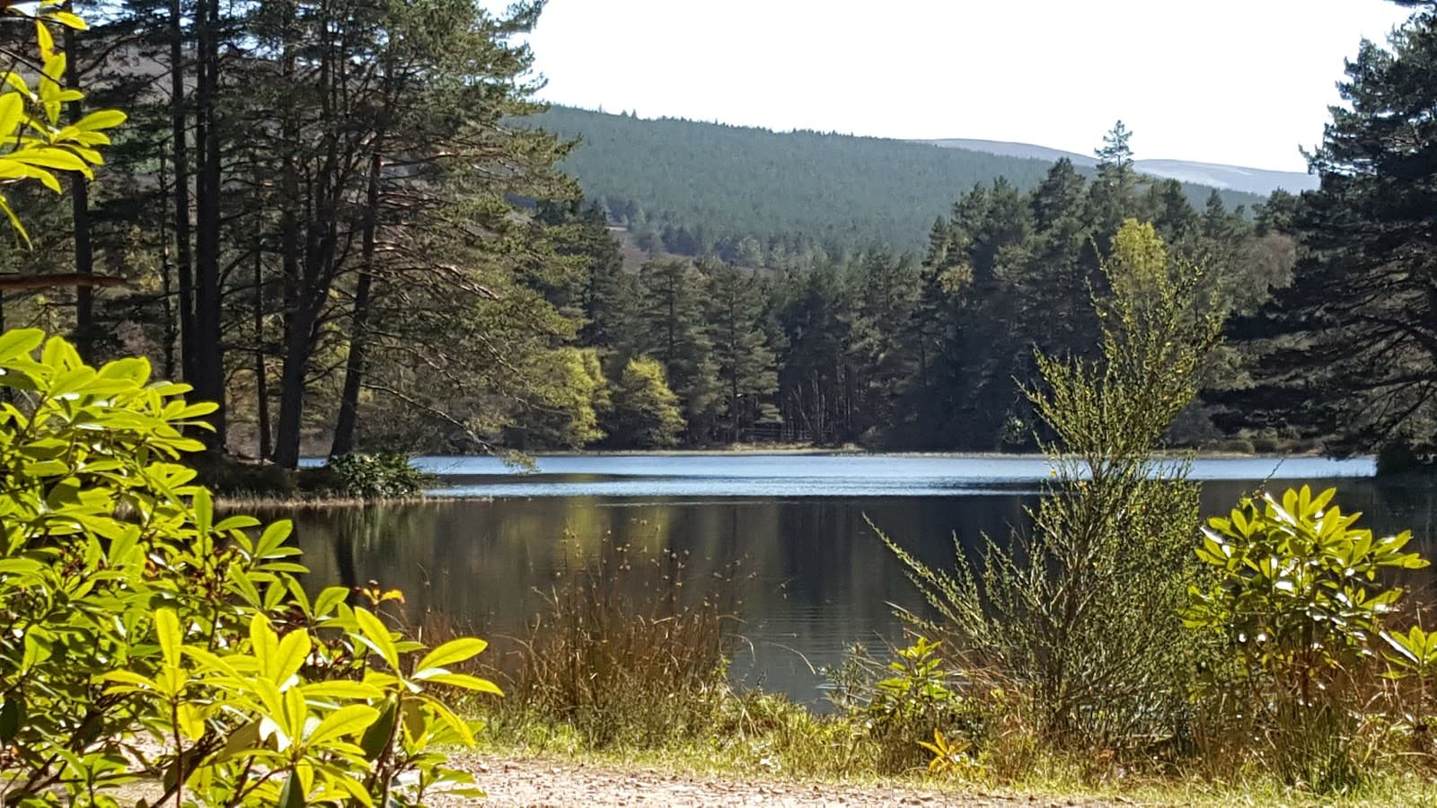 Glen Tanar Estate - Image 1
