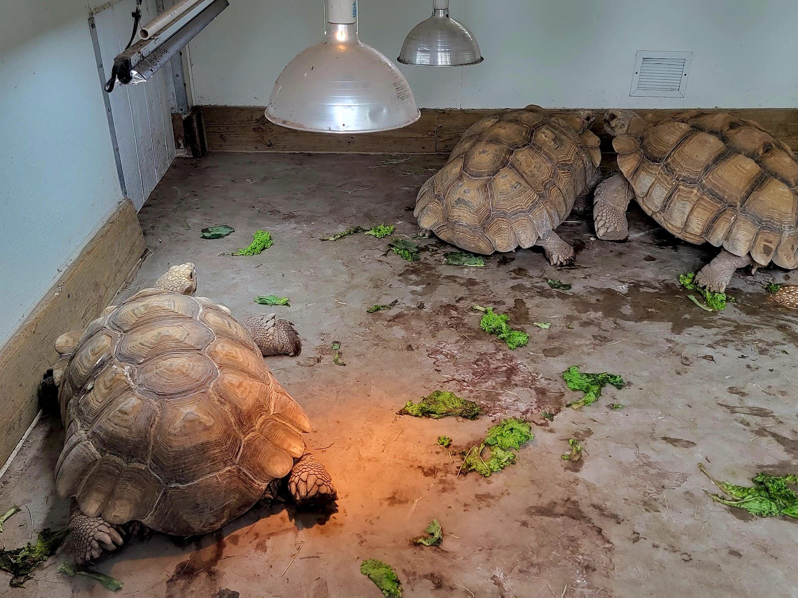 Hutchinson Zoo - Image 1