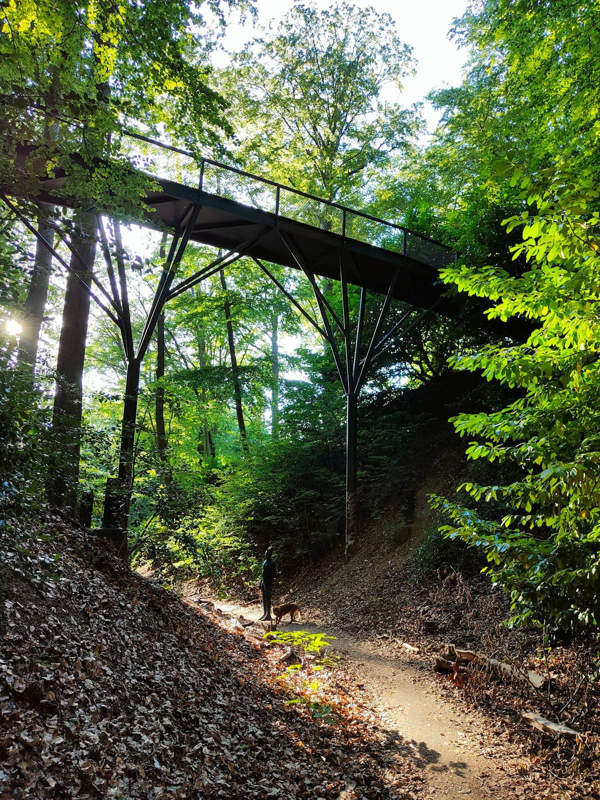Family Fun Playground
